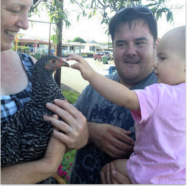 My granddaughter and barred rock