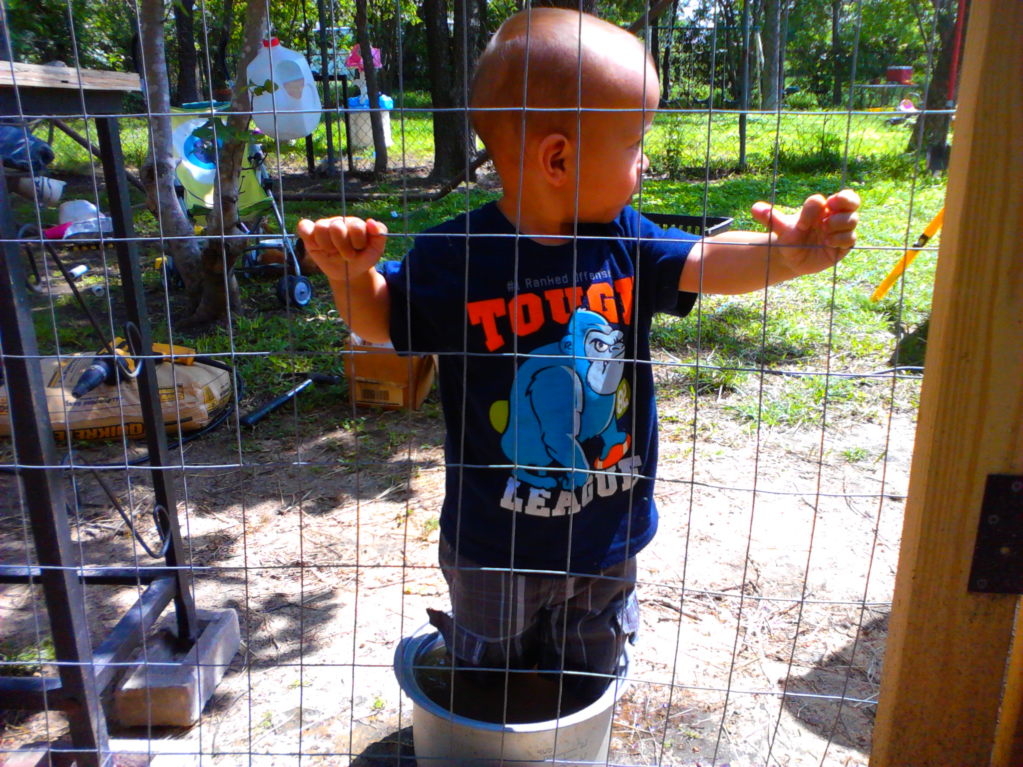 My Grandson Elvis. Standing in the water bowl full of water with shoes on! I can't turn my back :)