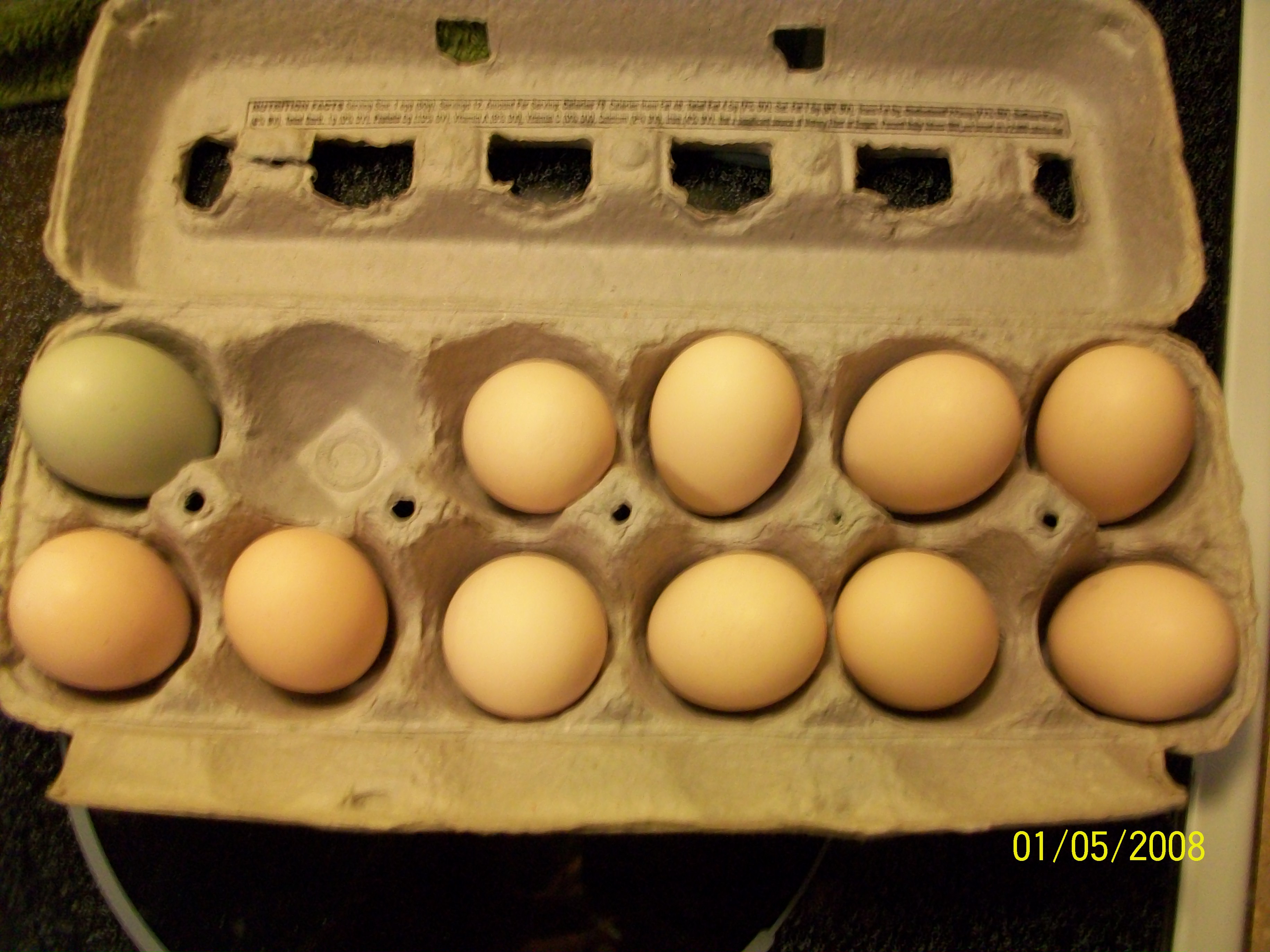 my guinea eggs