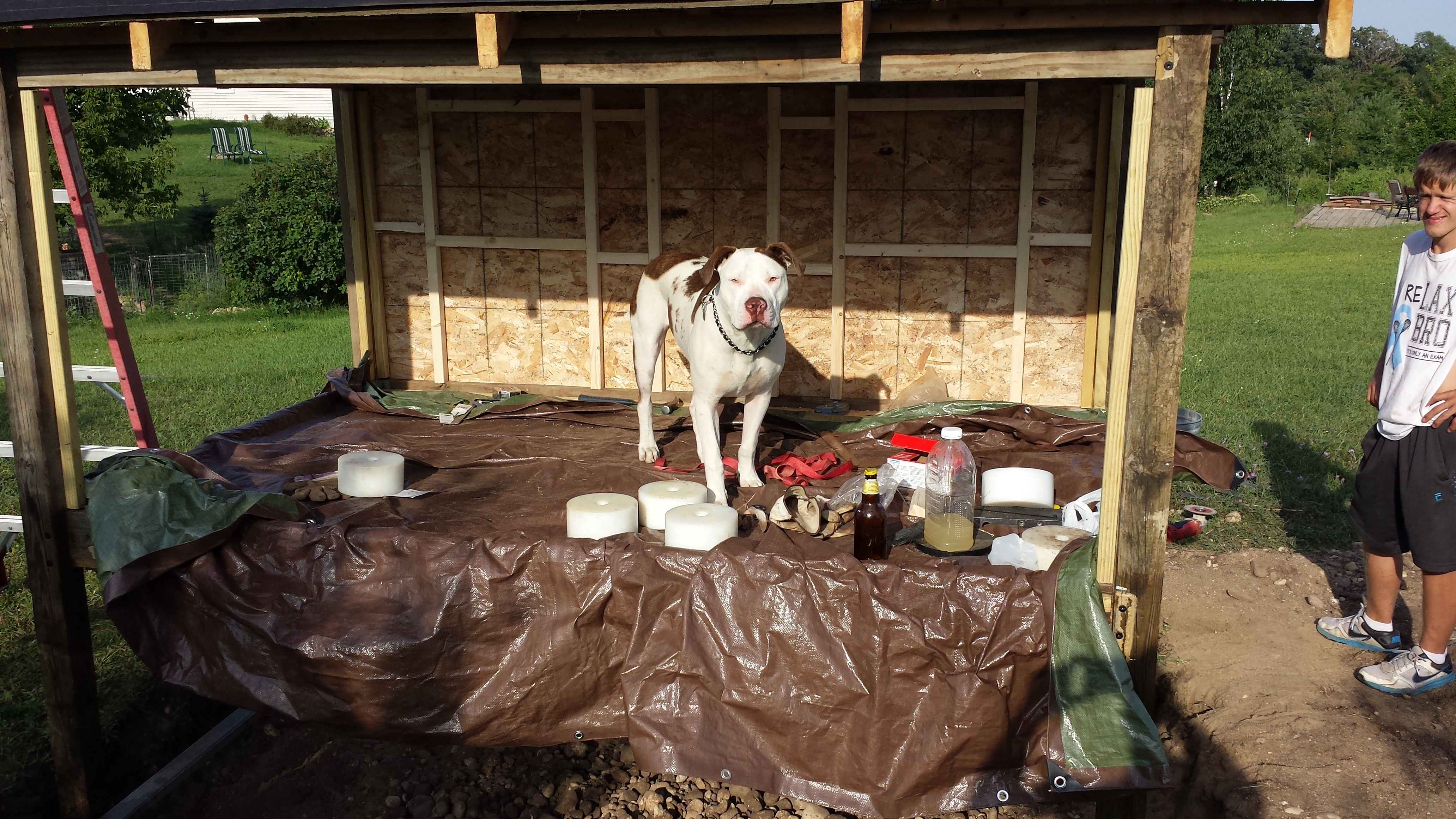 My helper Jax.  He thinks it's his house.
Made from 75% scrape wood laying around.
Concrete board got from a neighbor who was residing his house.