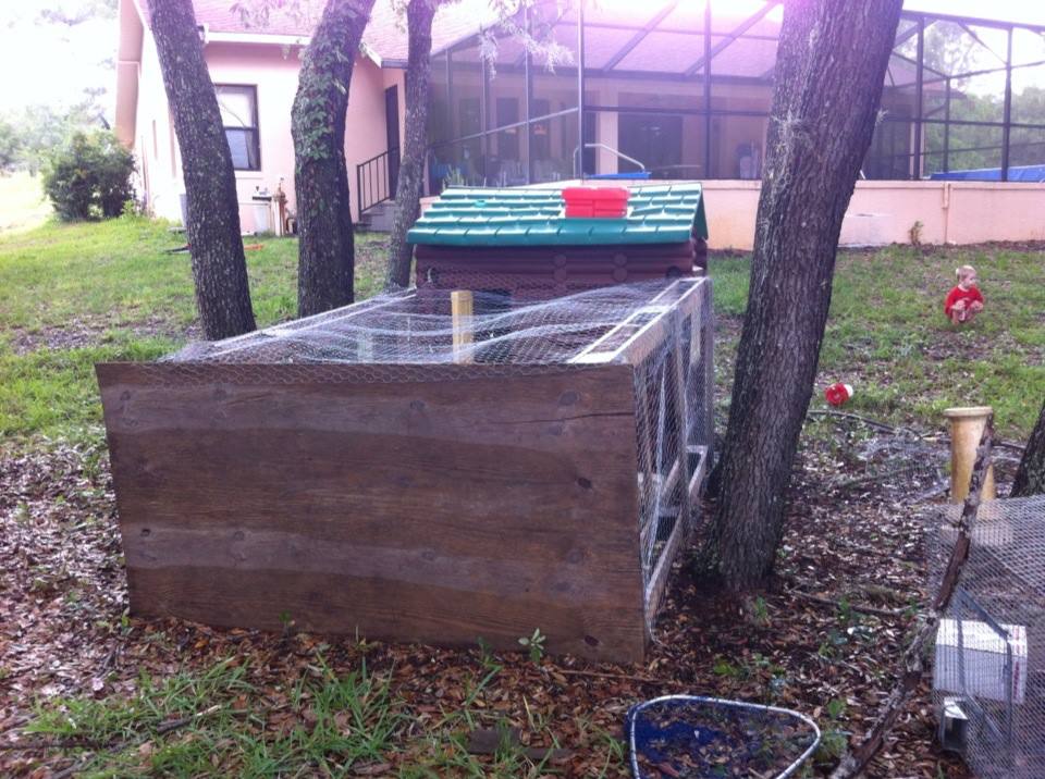 *
My hen house so far...90% recycled materials! Not pretty yet but the hens don't care :)