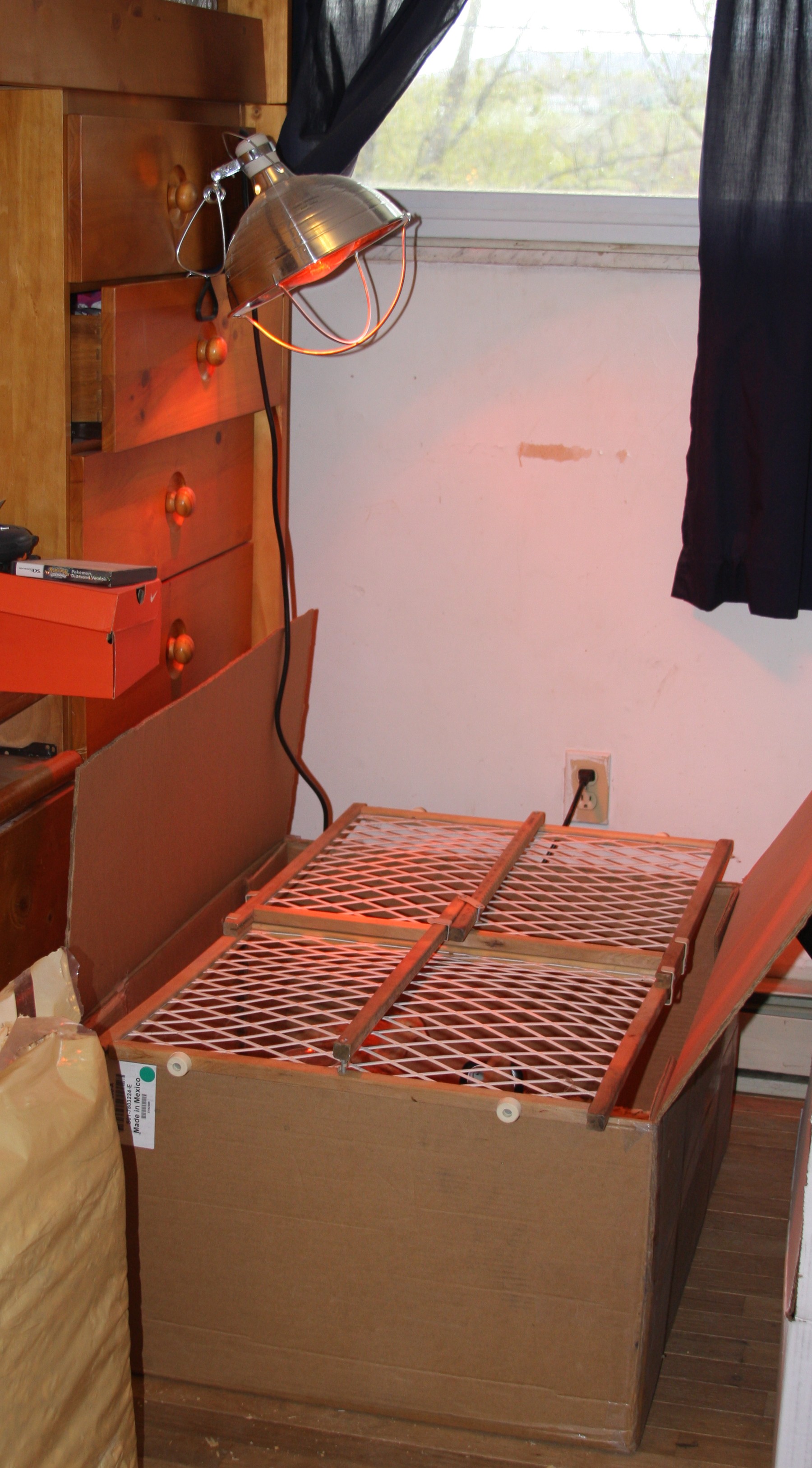 My "high tech" brooder set up.  Notice the "up a drawer" temperature adjustment apparatus.