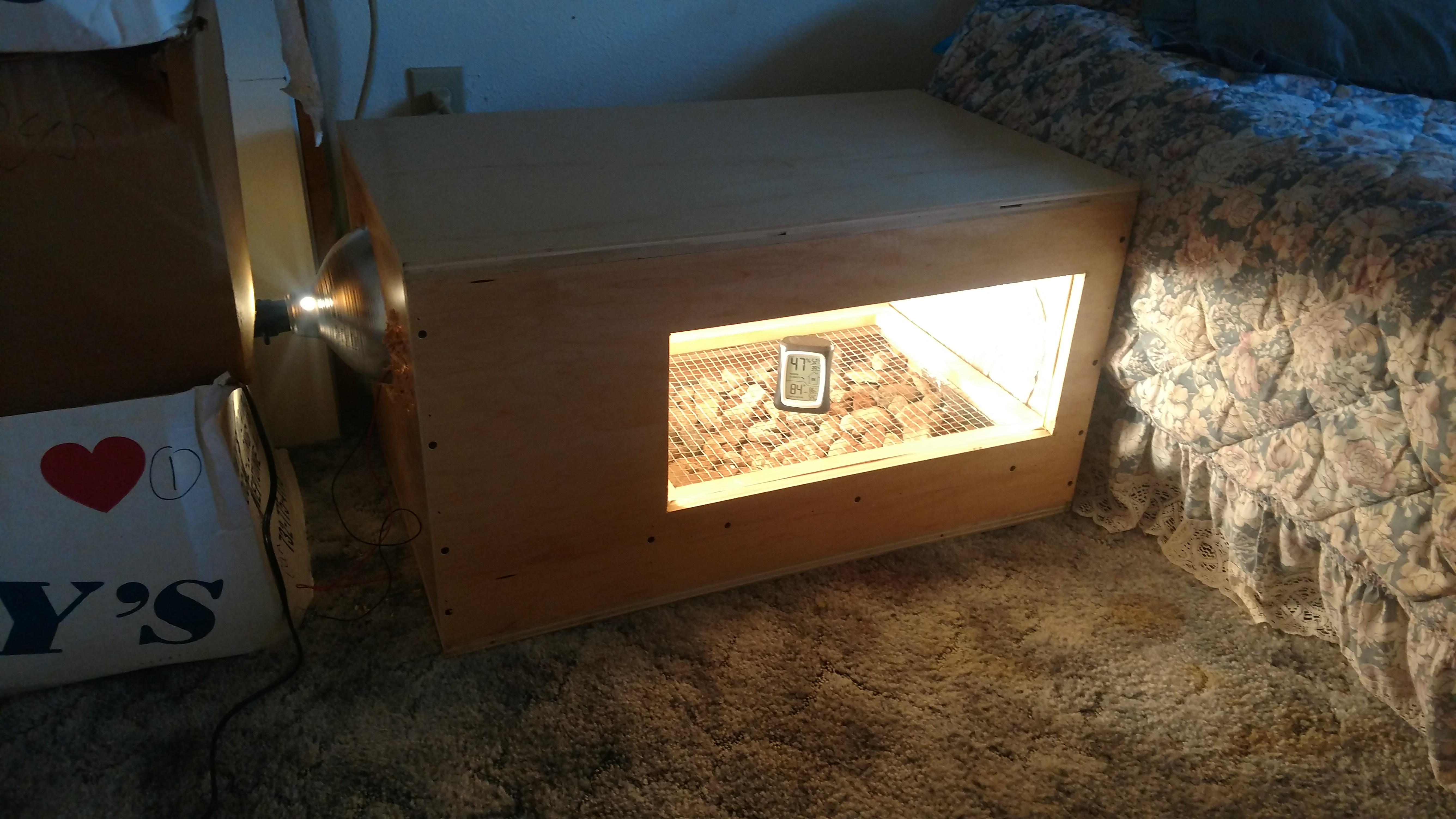 My homemade incubator