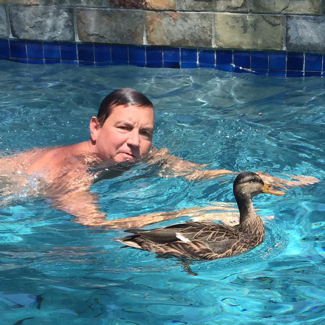 My hubby and duck honey taking their morning swim!