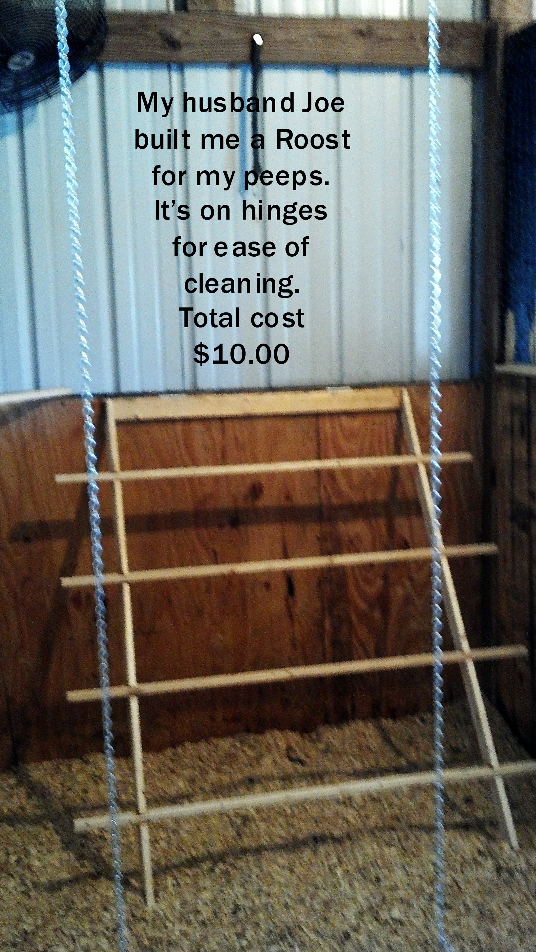 My husband Joe built me a new roost for my peeps.  It's on hinges for ease of cleaning.  The runs are 12" apart and each run is about an inch and a half wide. 4' tall and 3' wide. The runs are notched into the wood, glued and nailed.  The cost was very low, just $10.00