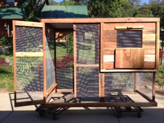 My Husband made me a New Grow Up Coop today...8 feet long, 4 feet wide, six feet tall..
He told me I have to stop Incubating. This is the forth Coop like this he has had to make me.. :)