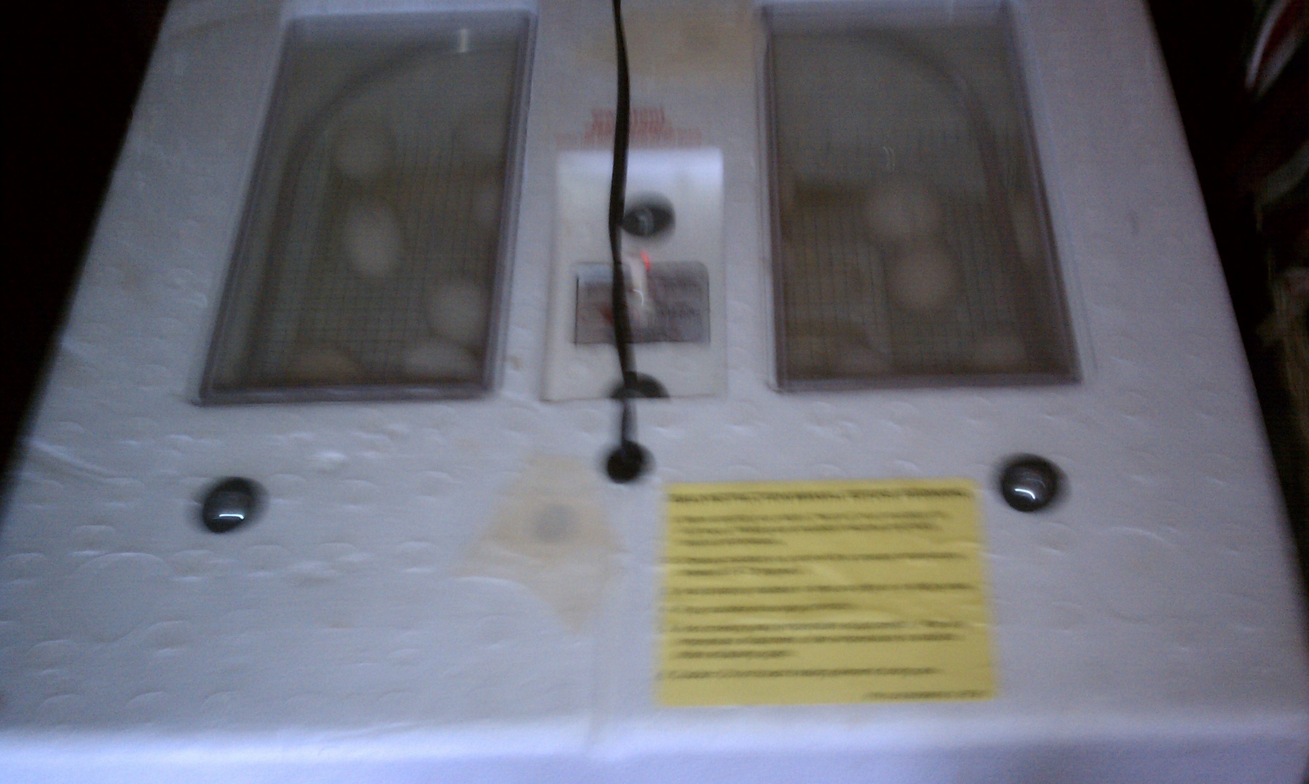 my incubator