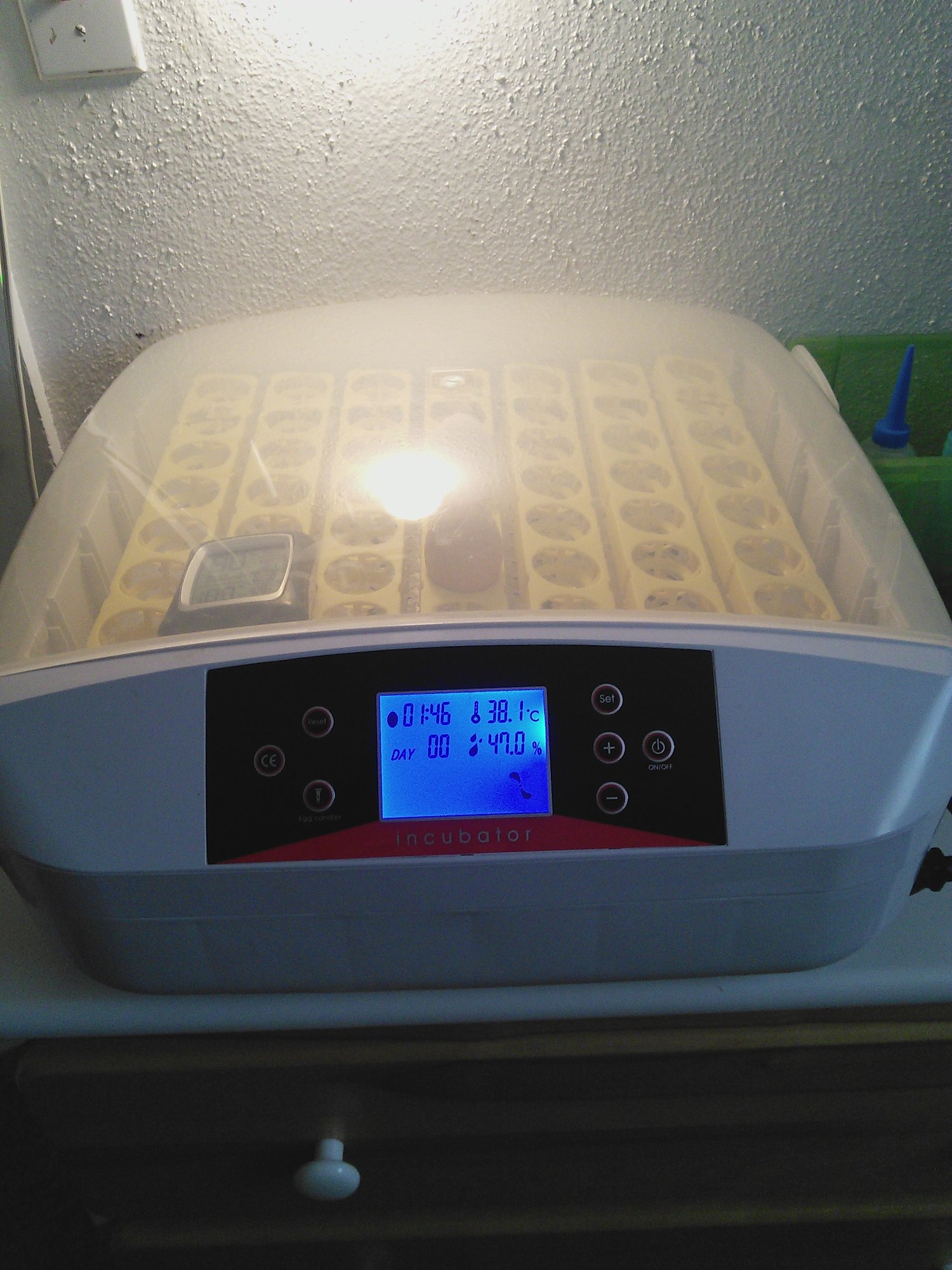 My Incubator