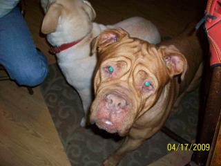 My Jesse <3  DDBX
