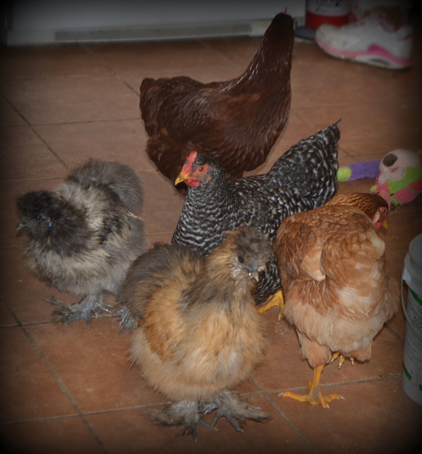 My ladies. <3