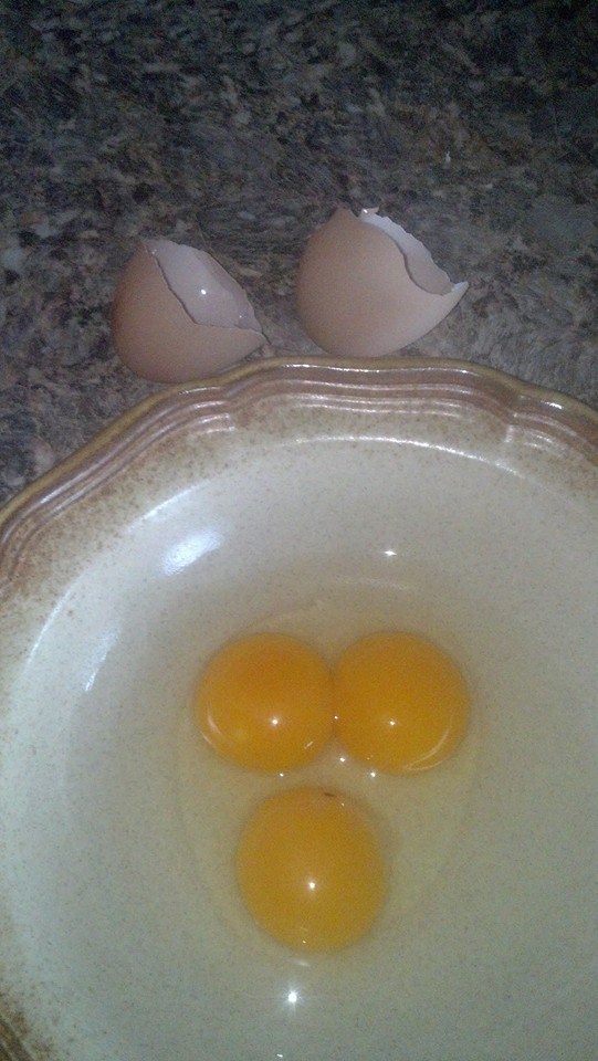 my lady red laid this surprize...