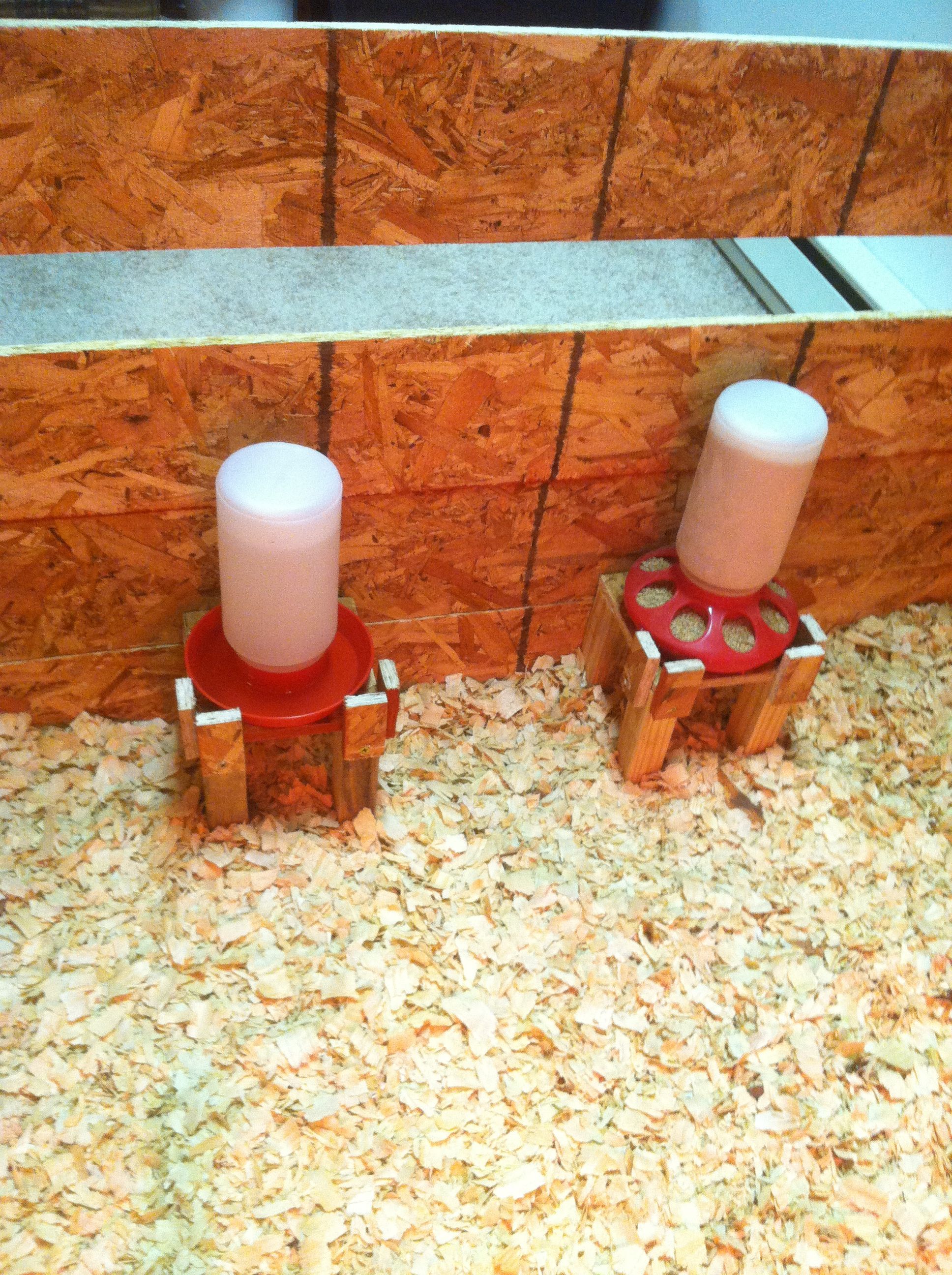 My latest attempt at keeping the feeder and waterer clean and upright.