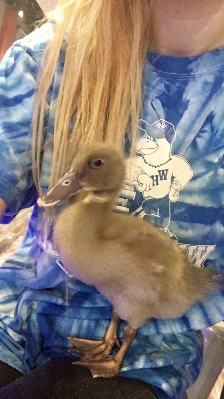 My little buddy