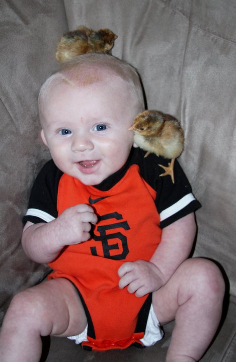 My Little Chick Magnet!