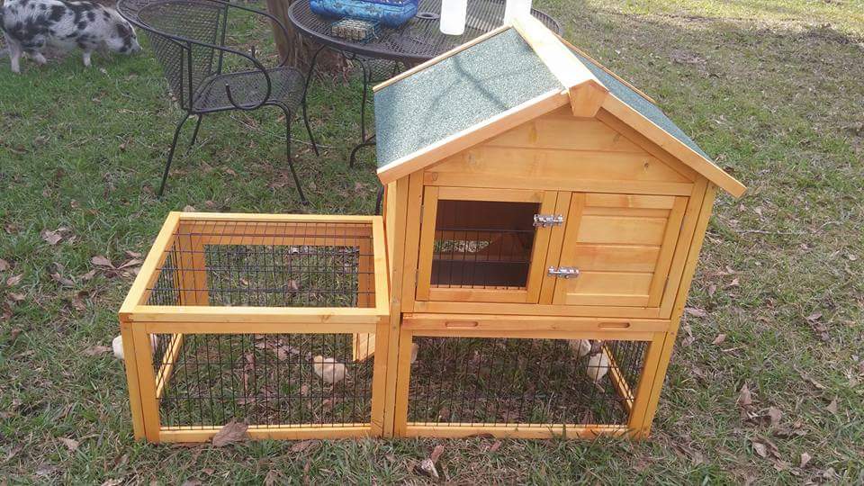 My little chicken coop. Smaller than I thought it was when I bought if online so I'll be upgrading soon.
