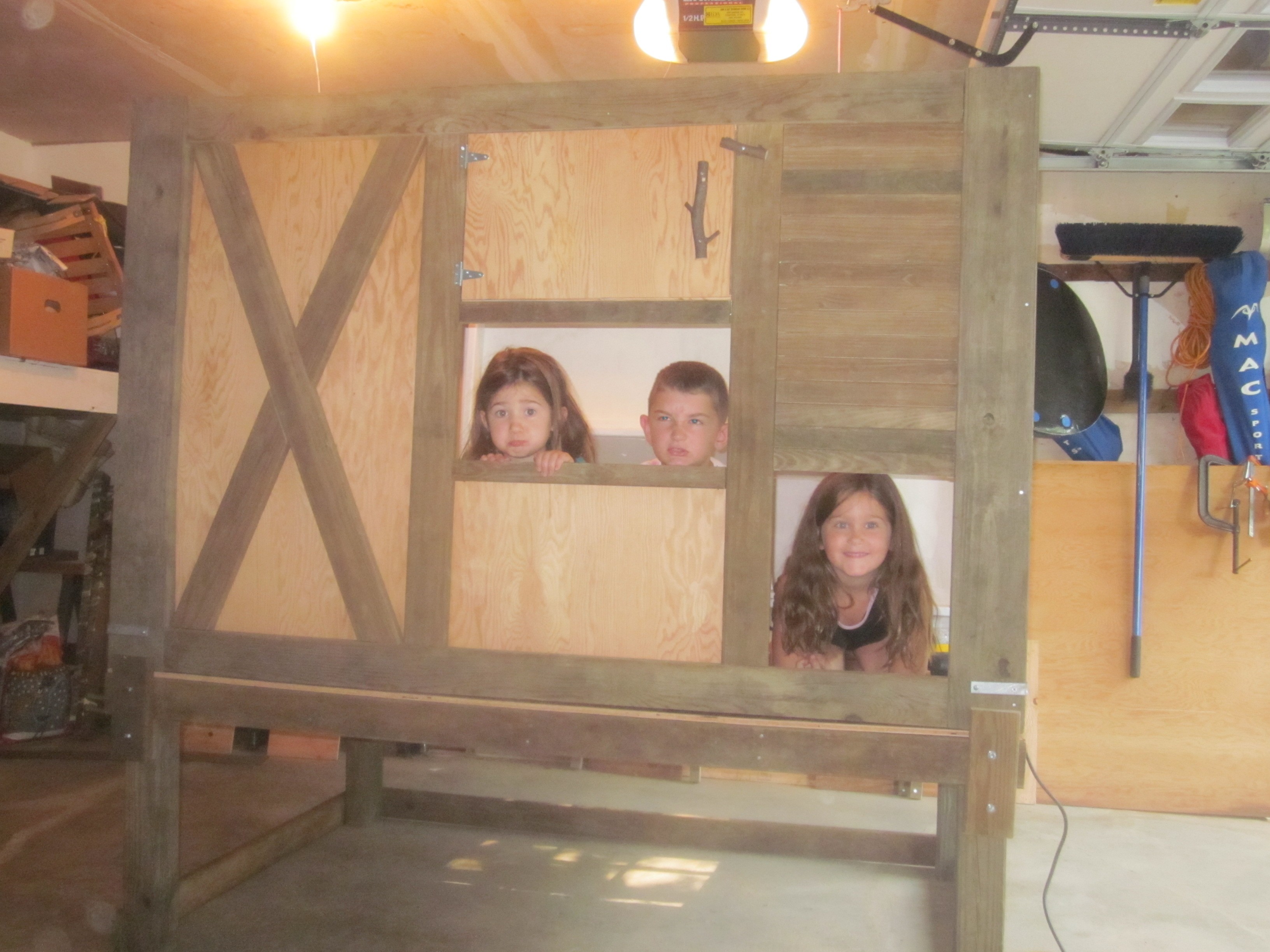 My little chickens