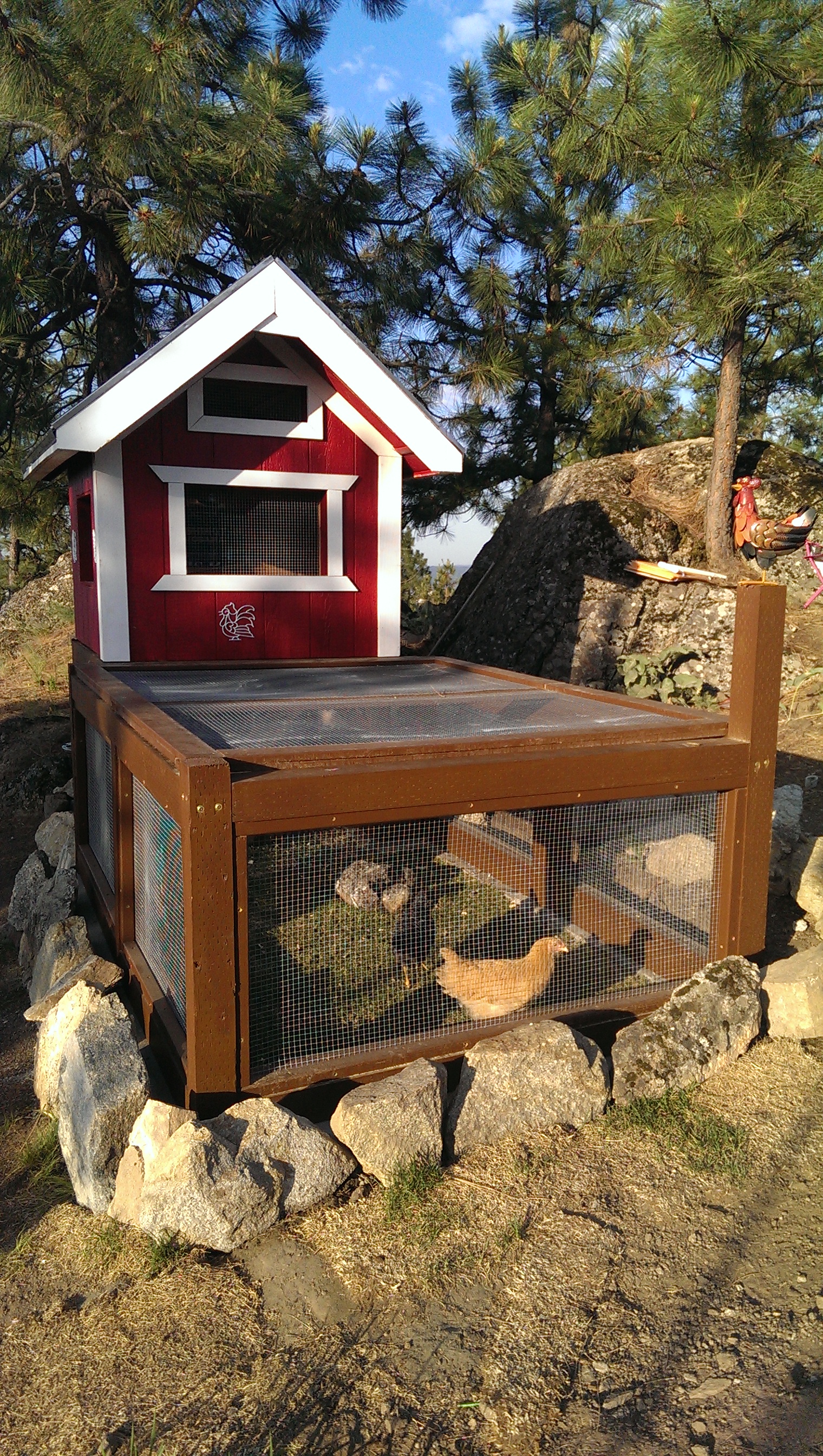 My little hen house my husband built for the girls.