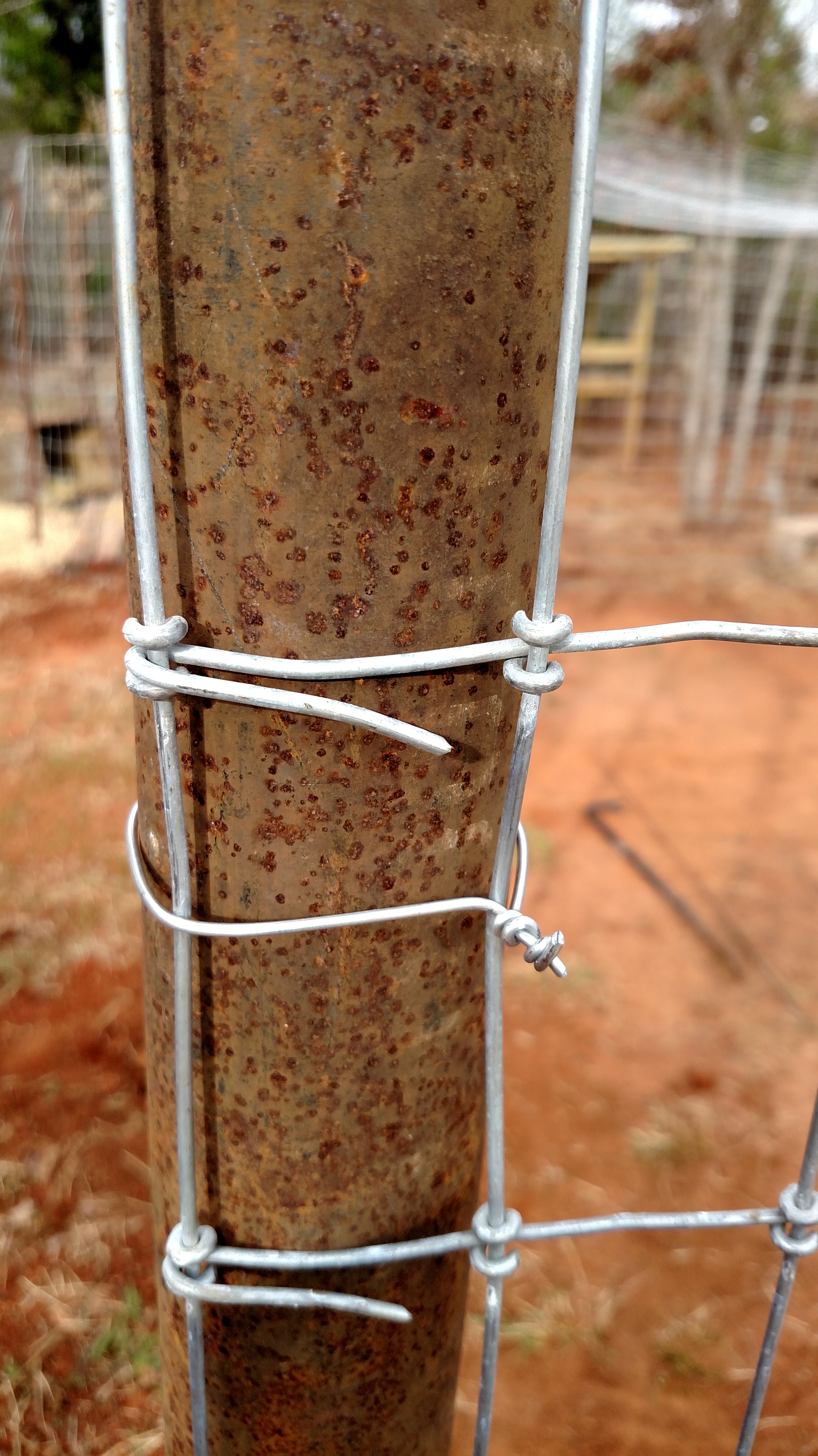 My main job...wiring fence to posts and railing and bending fencing ends.  Very tedious.