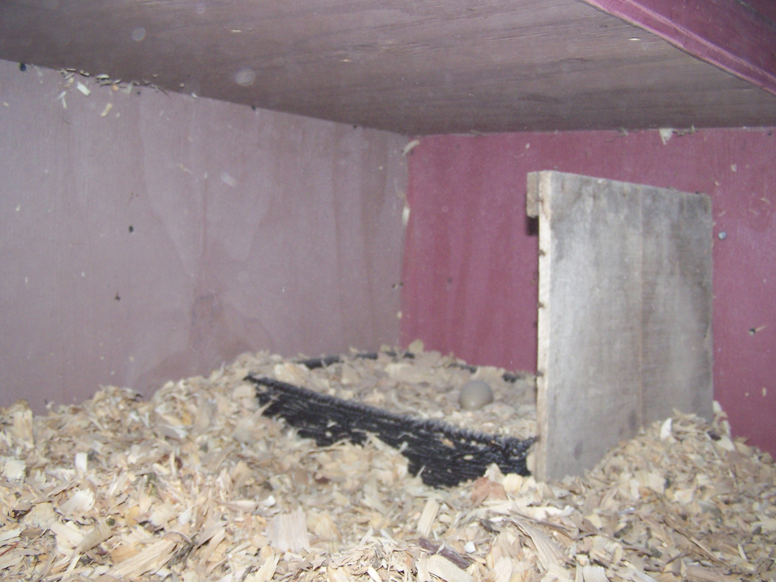 my "make-shift" basket nesting box...