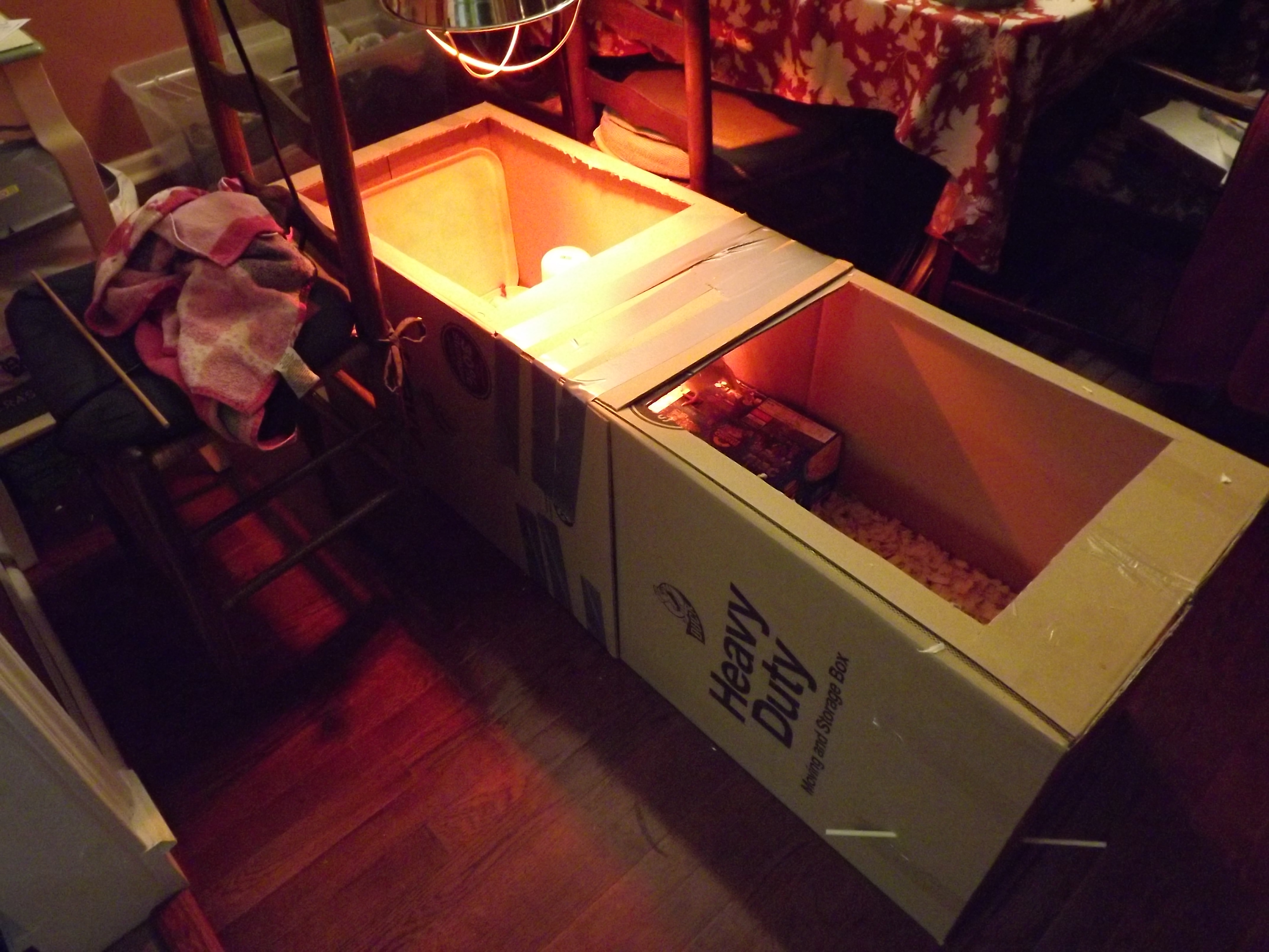 My makeshift Brooder. The light is normally over the right hole but I moved the box so I could take a pic.