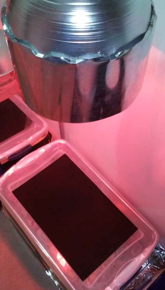 My "makeshift" incubator setup.