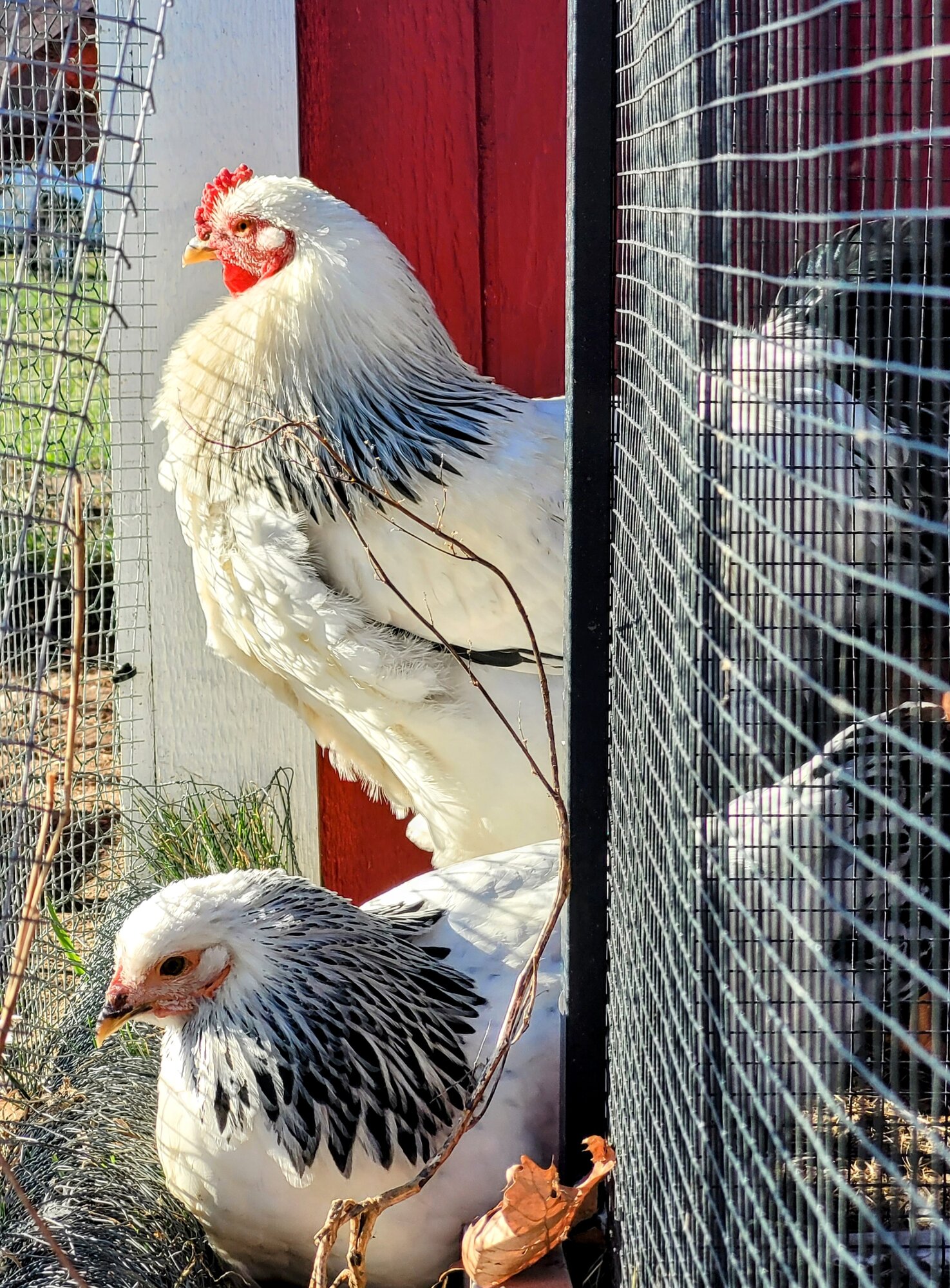 My matched pair