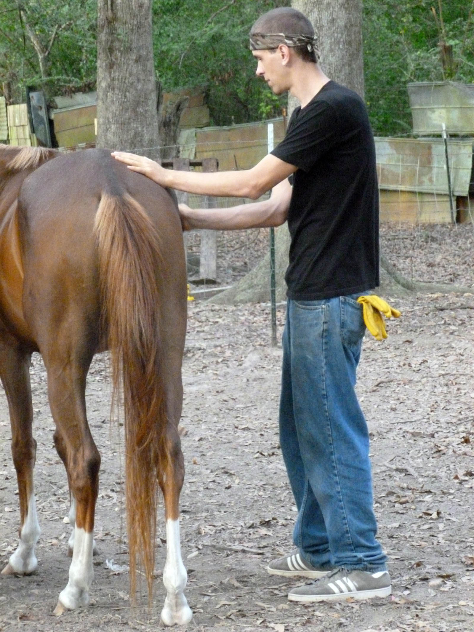 My middle child, Wade, out brushing Starlight right after he moved home from Florida.
