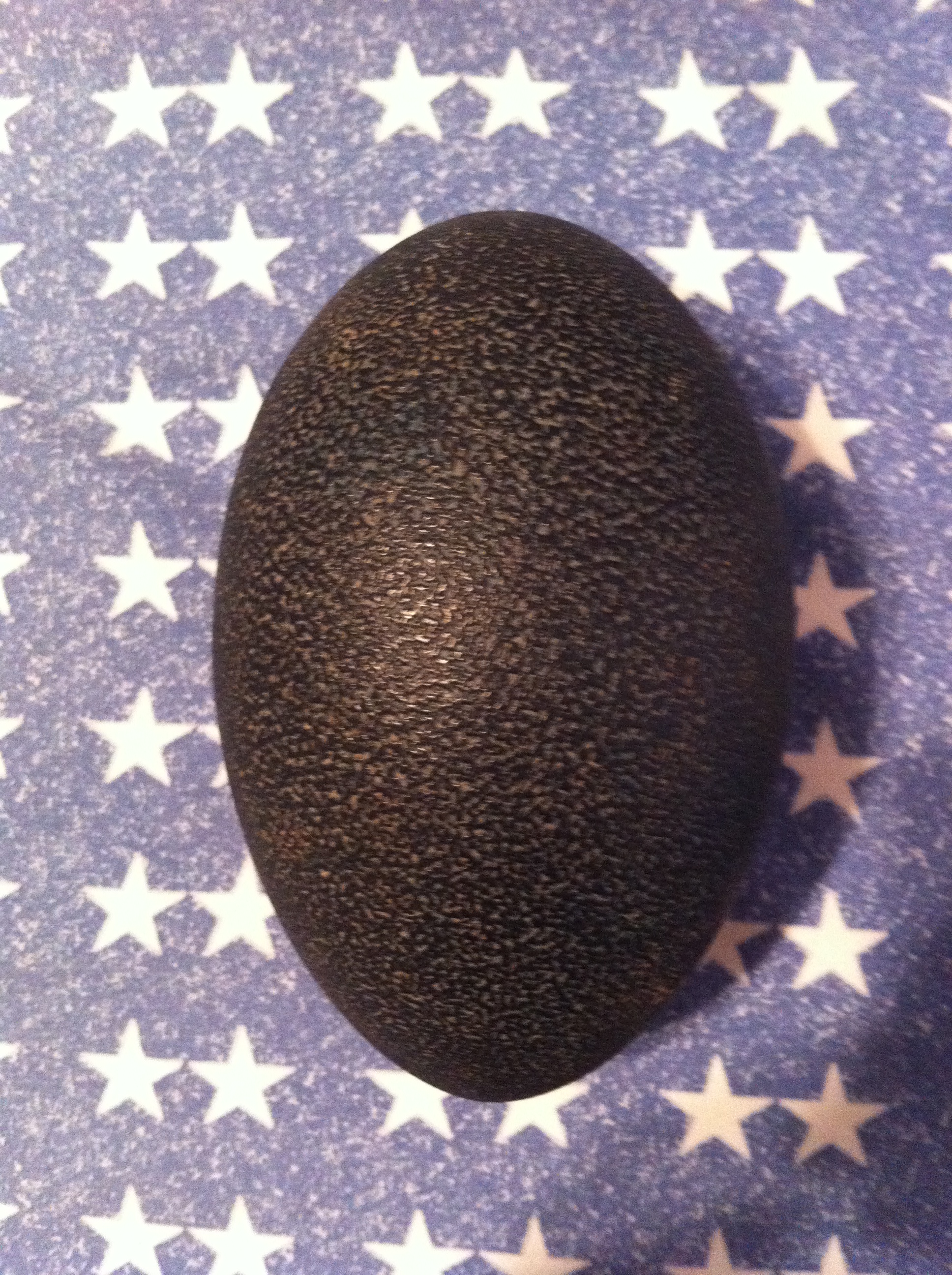 My neighbor gave me an emu egg