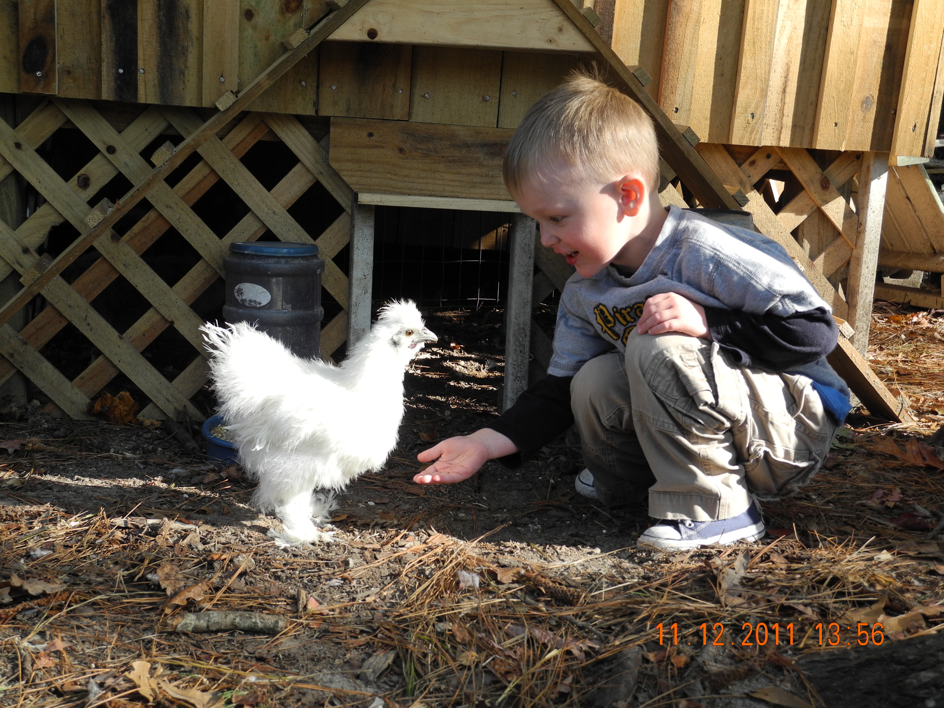 My nephew and his silkie Sgt. Prickle Pants.