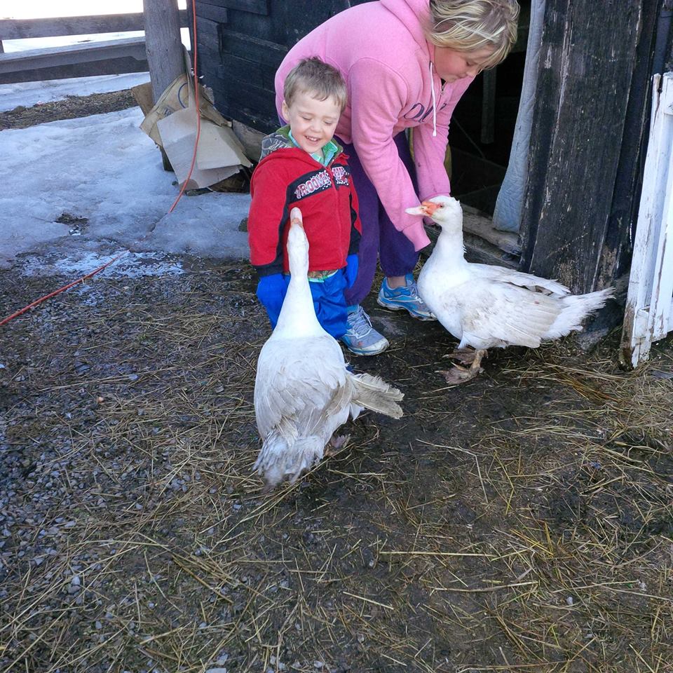 My nephew with the ducks
