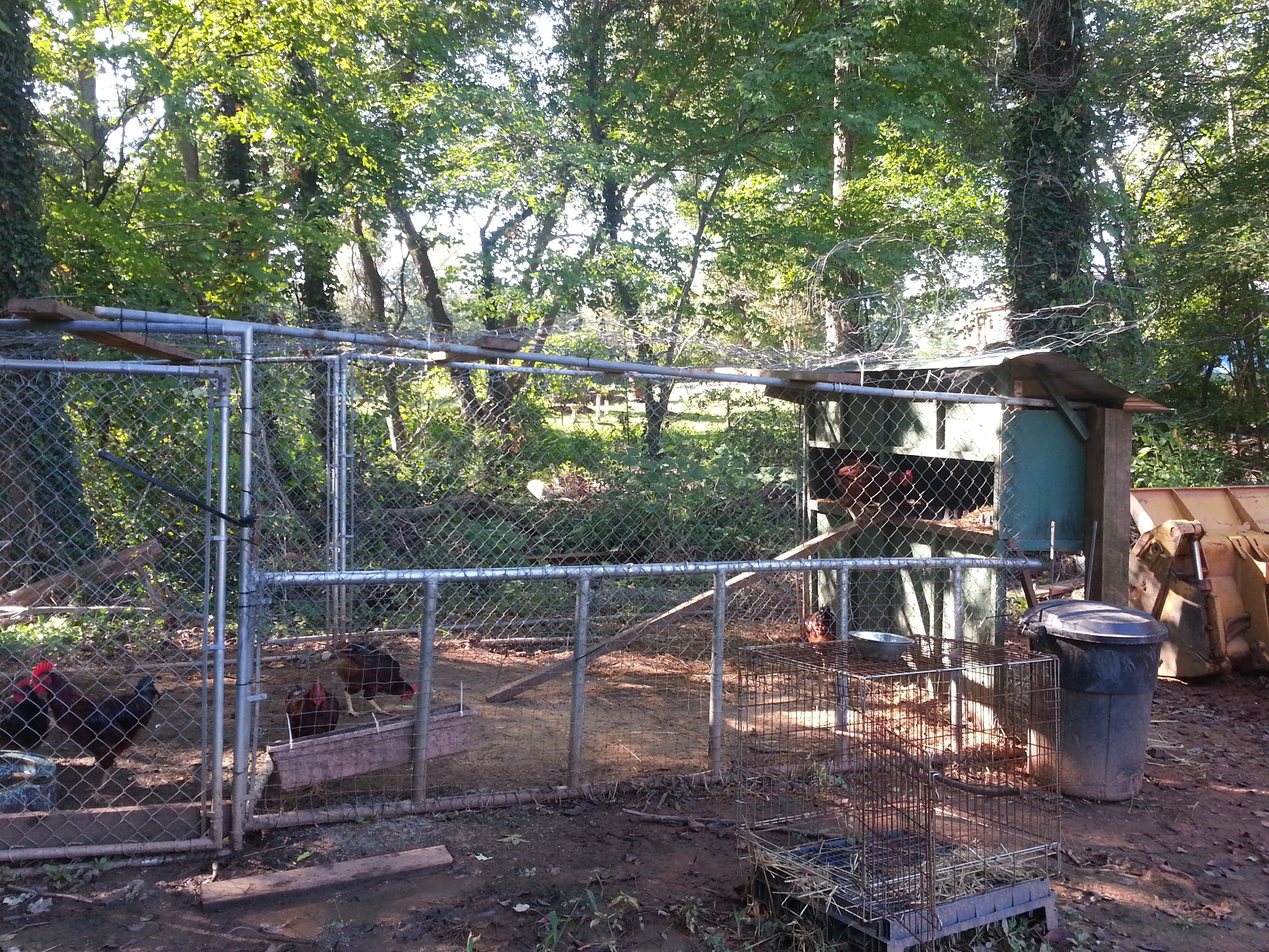 My new chicken run
