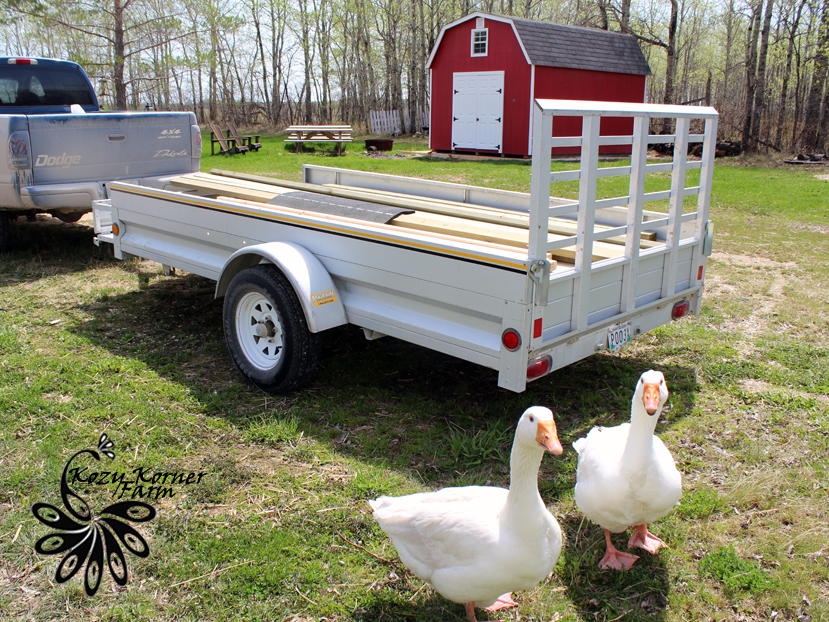 My new coop...almost...