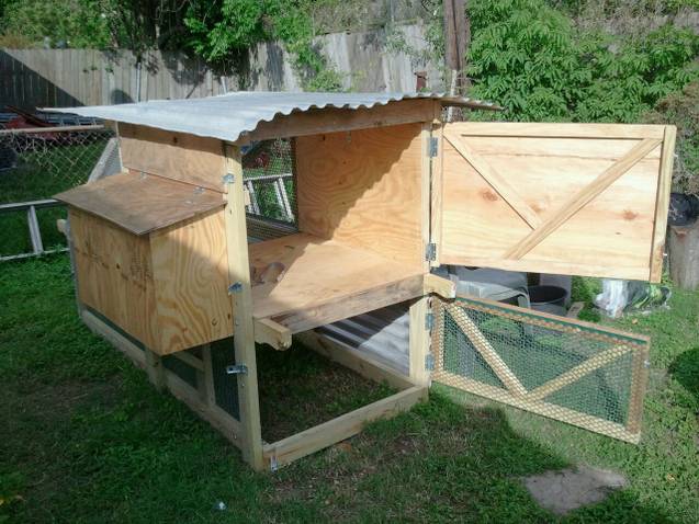 My new coop