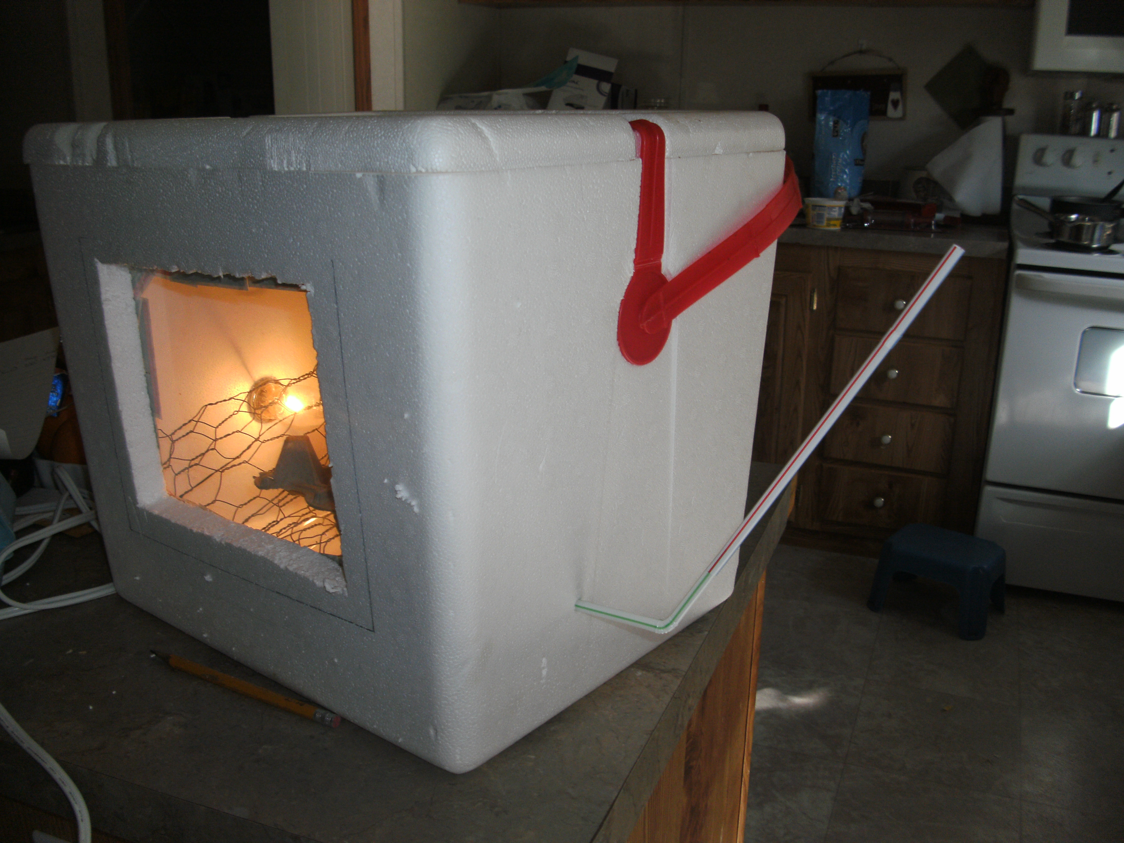 my new incubator..straw is to add water to bowl