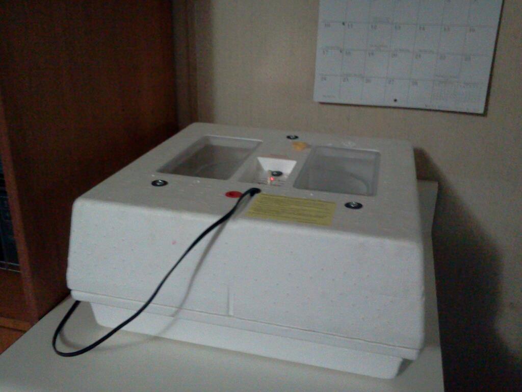 My new incubator waiting for some fertile eggs!