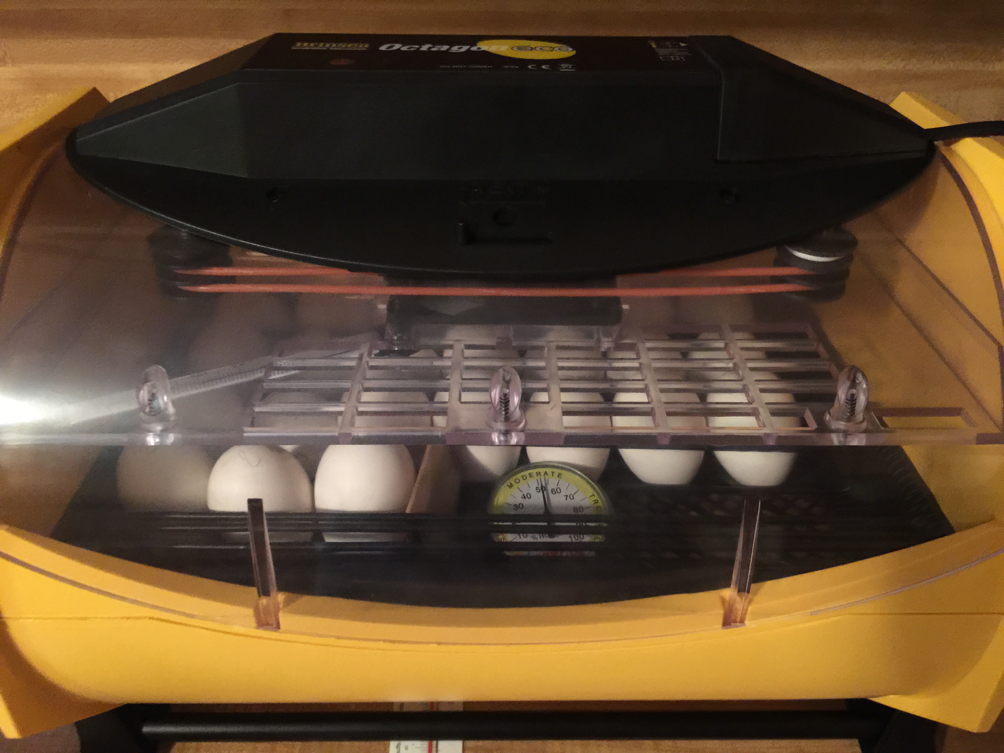My new Octagon 20 Eco Incubator with some silver spangled hamburg eggs.