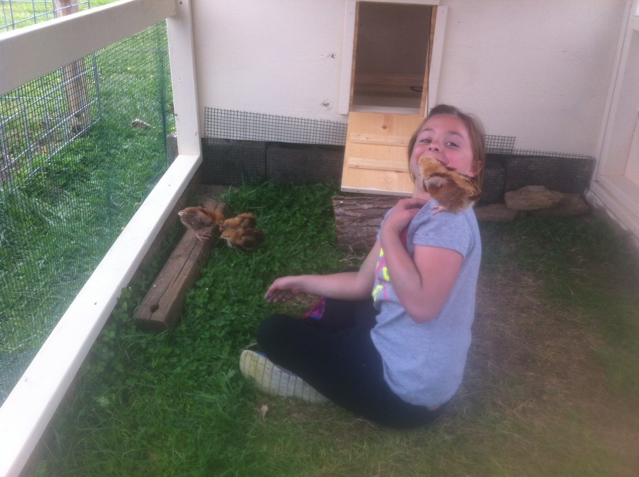 My niece enjoying the baby chicks