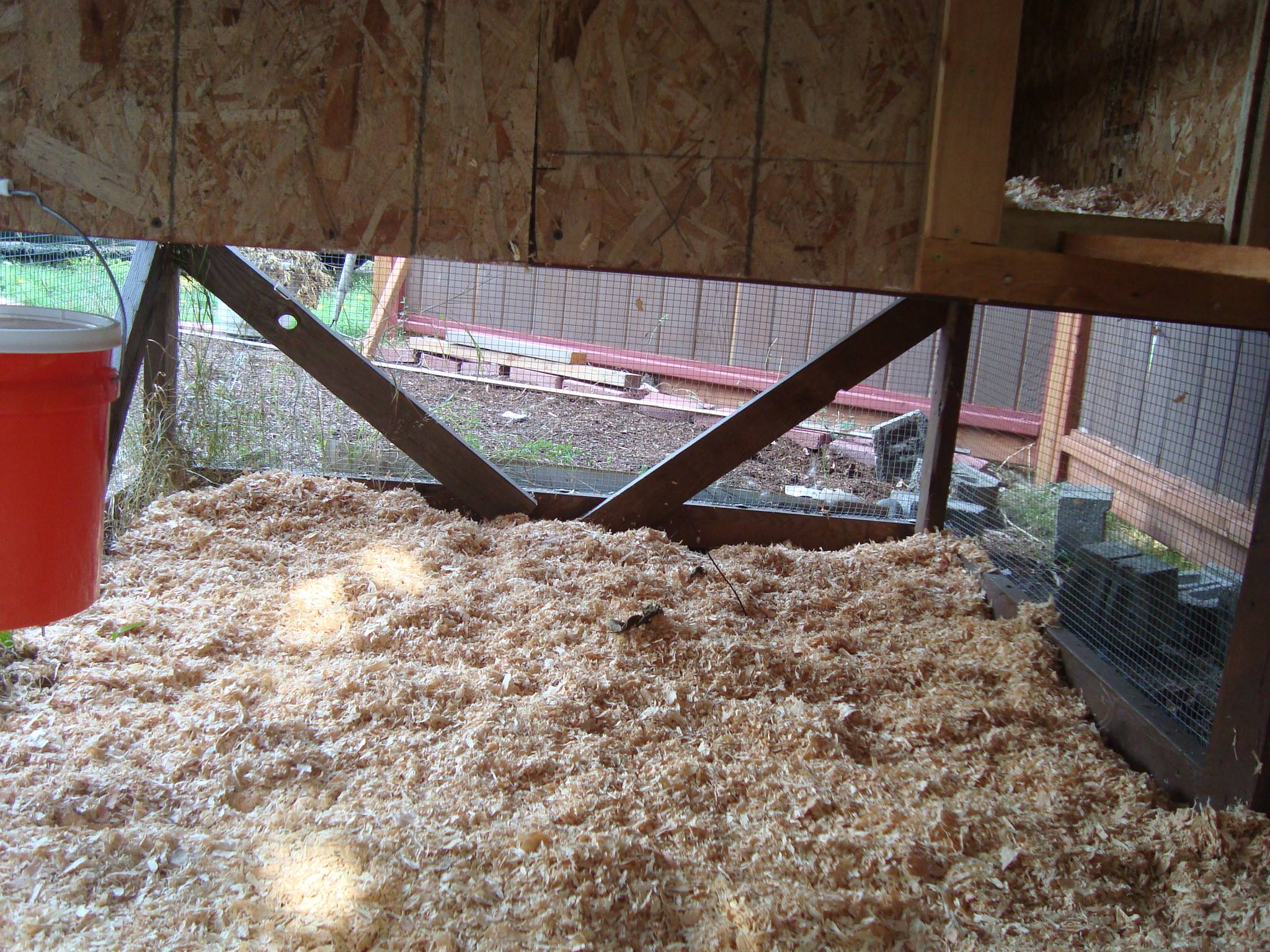My plan was (still is) to use sand in the run, but I need a little help getting that much sand to my place and into the coop. Still my goal, though.