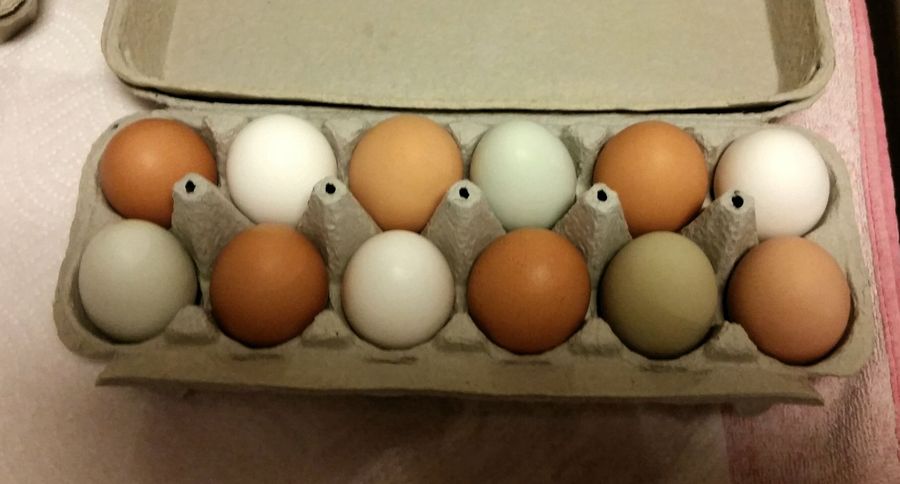 My pretty eggs!