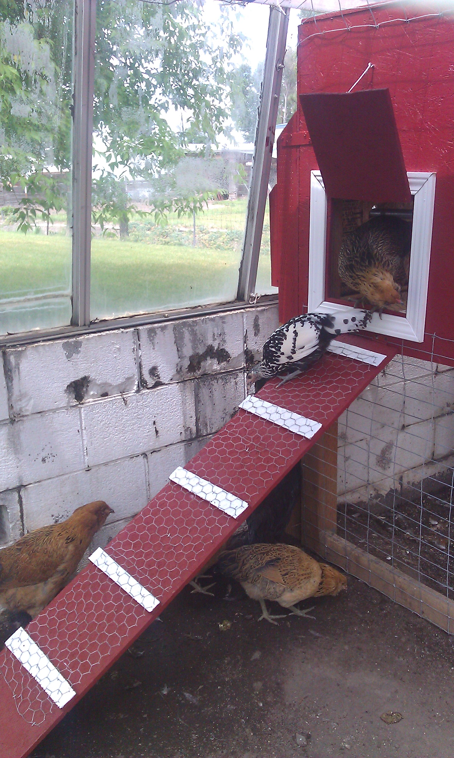 My pretty ladies checking it out .