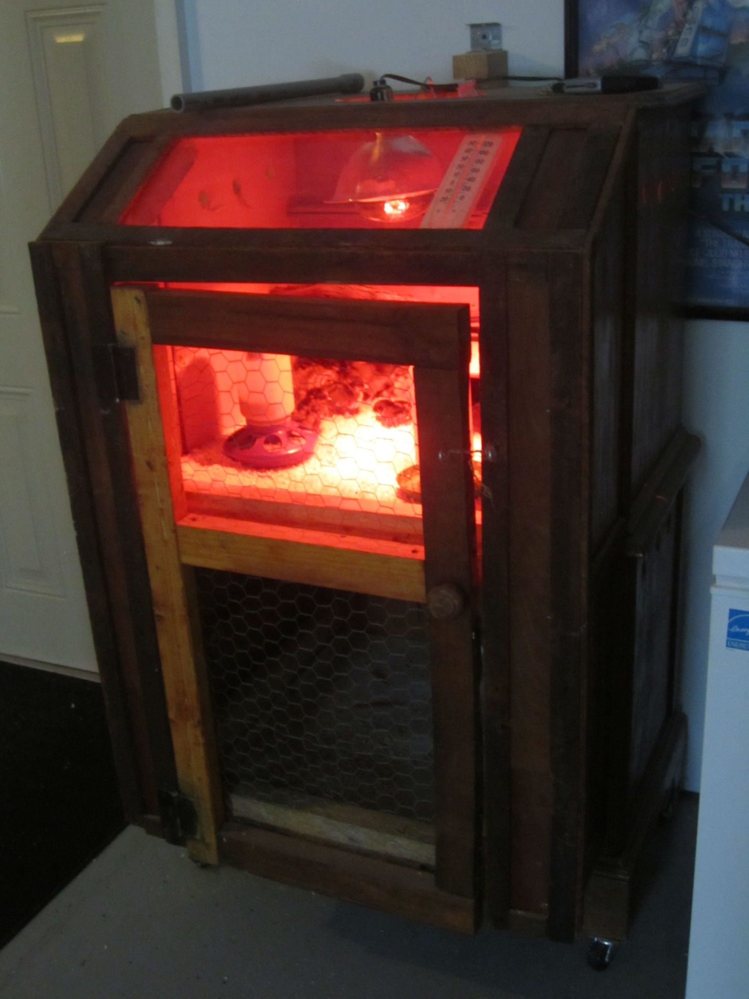 my re purposed brooder in action once again!! It's been too long!!