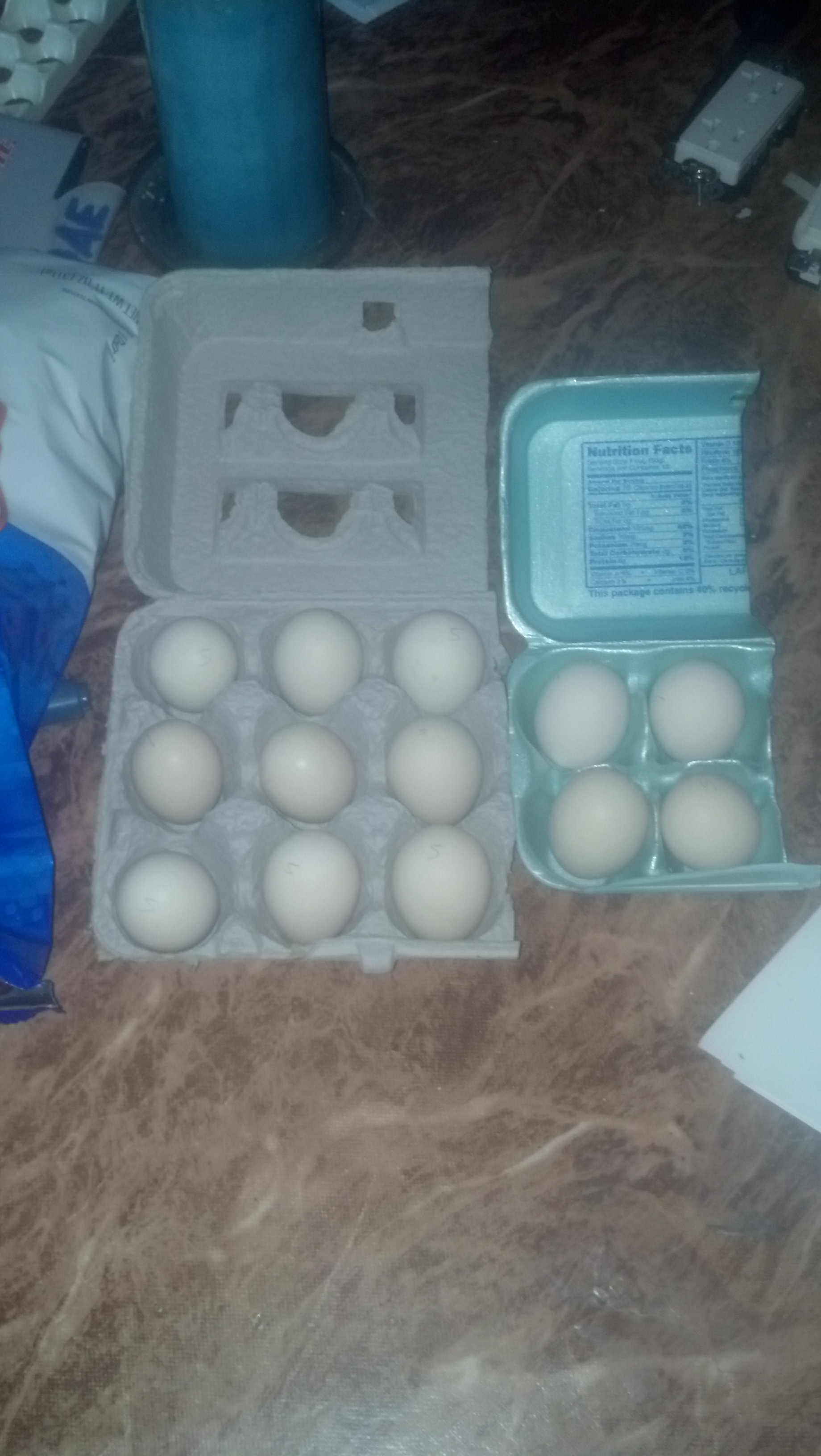 my serama eggs aug. 9th 2014