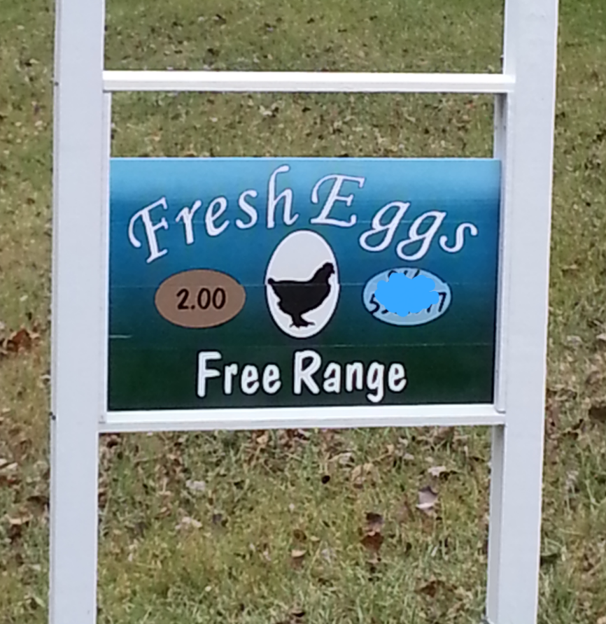 My sign for the eggs. I need to add "A French Hen" in the open space and make a Sold Out sign for the top. That's one of my winter projects.