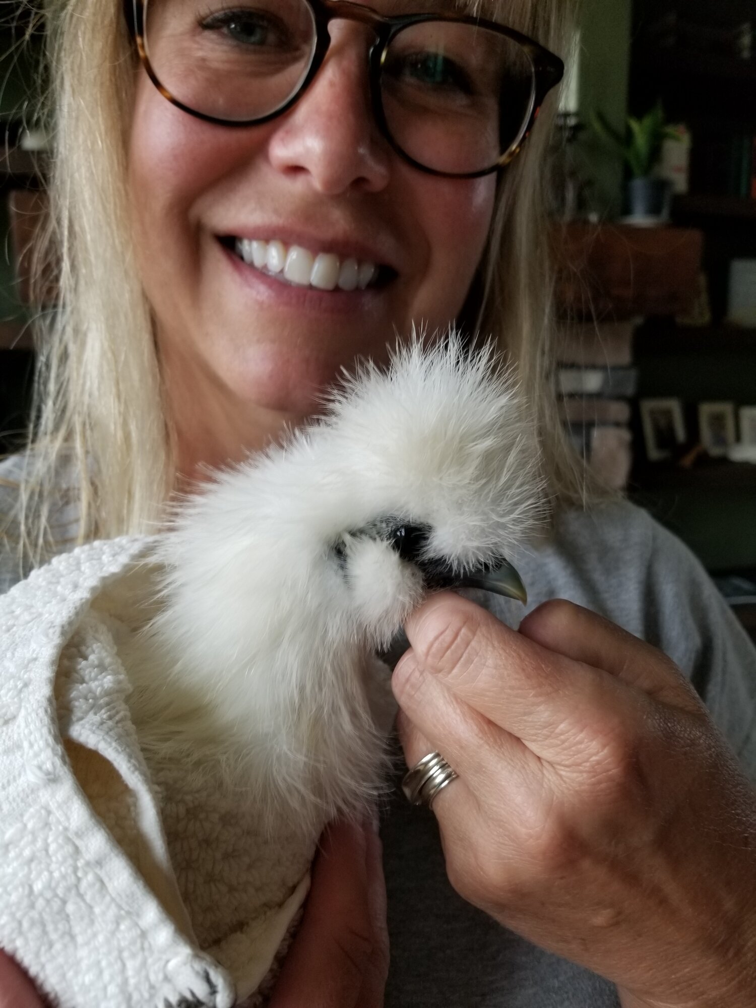 My Silkie