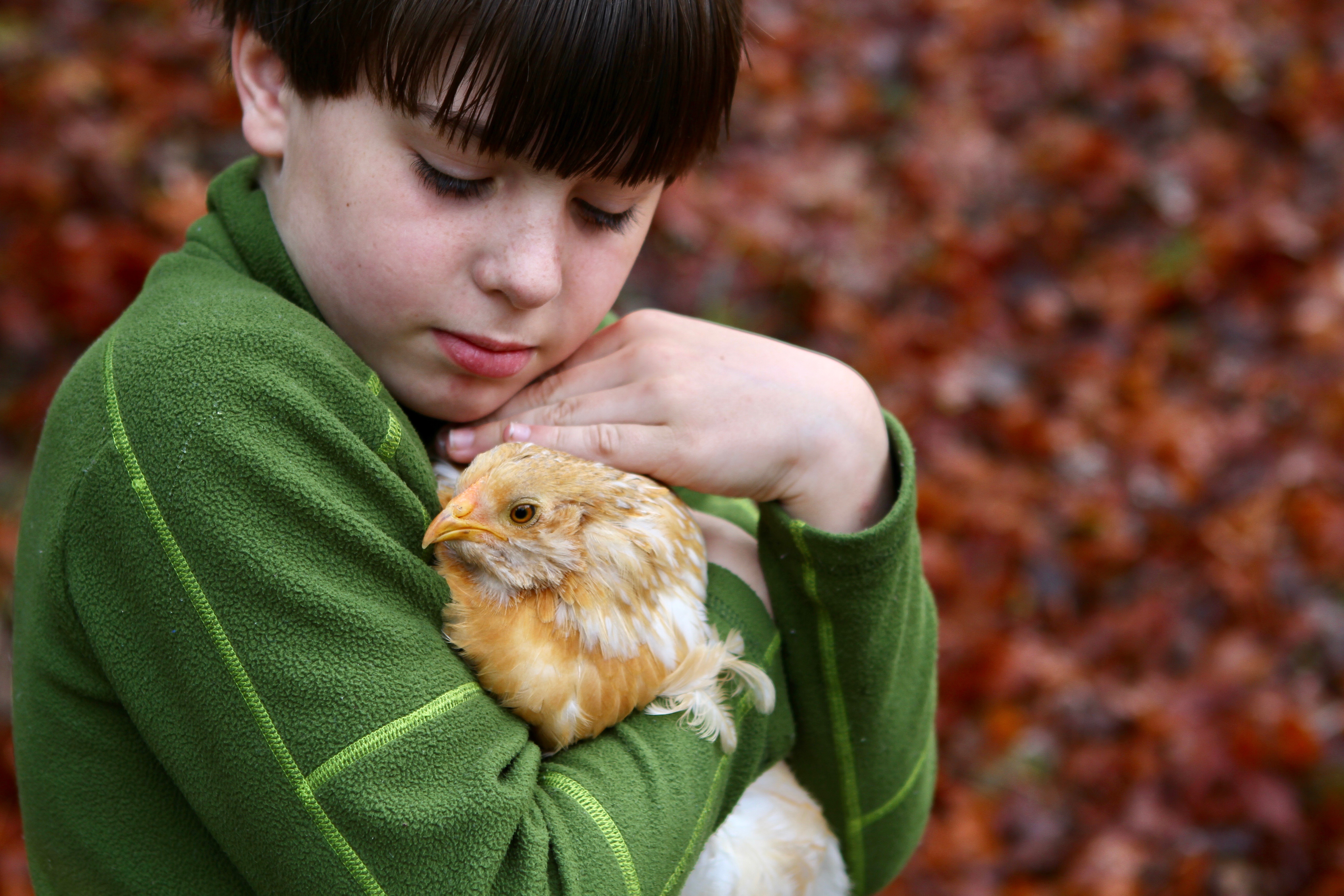 My son and Crystal, who I think is an Easter Egger