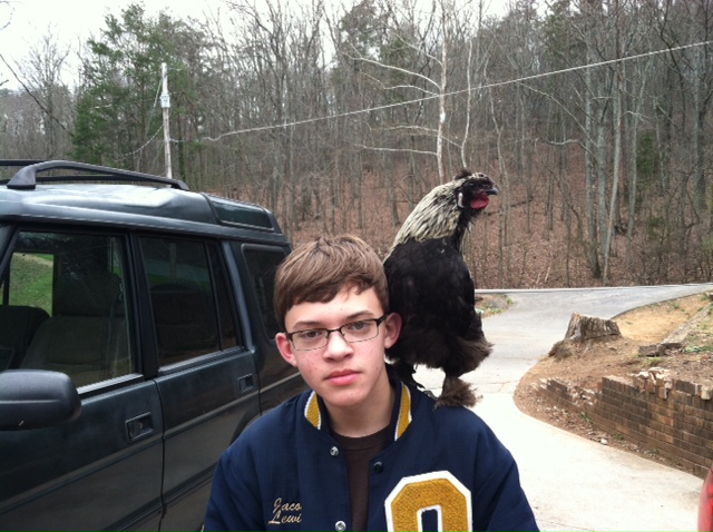 My son and his "Parrot"