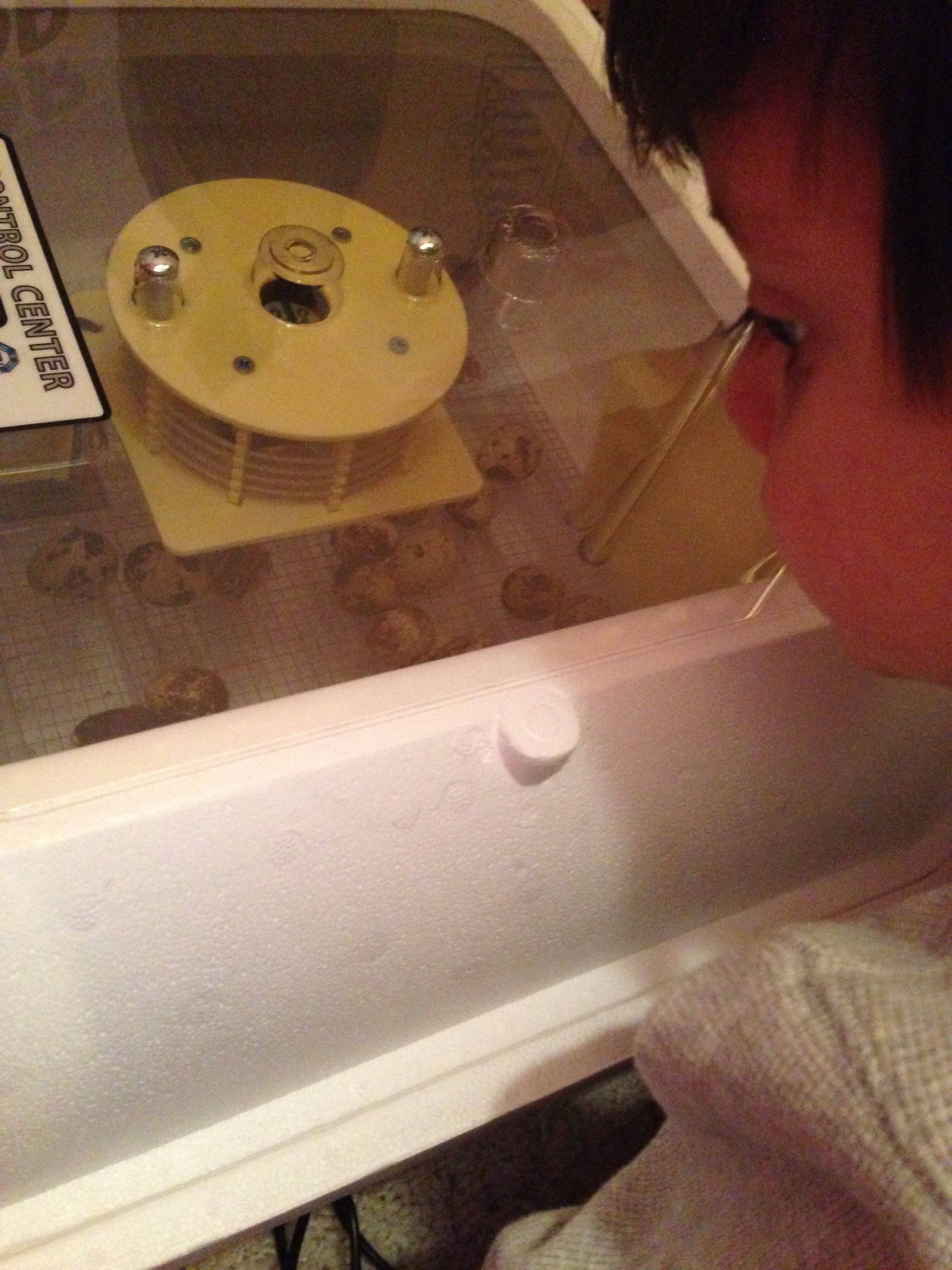My son experiencing our very first hatch (ever) with me