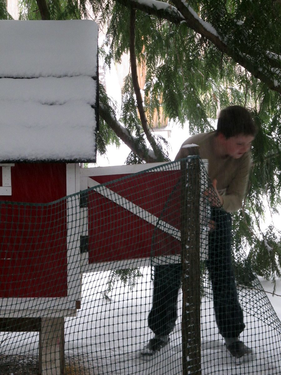 My son getting the eggs =)