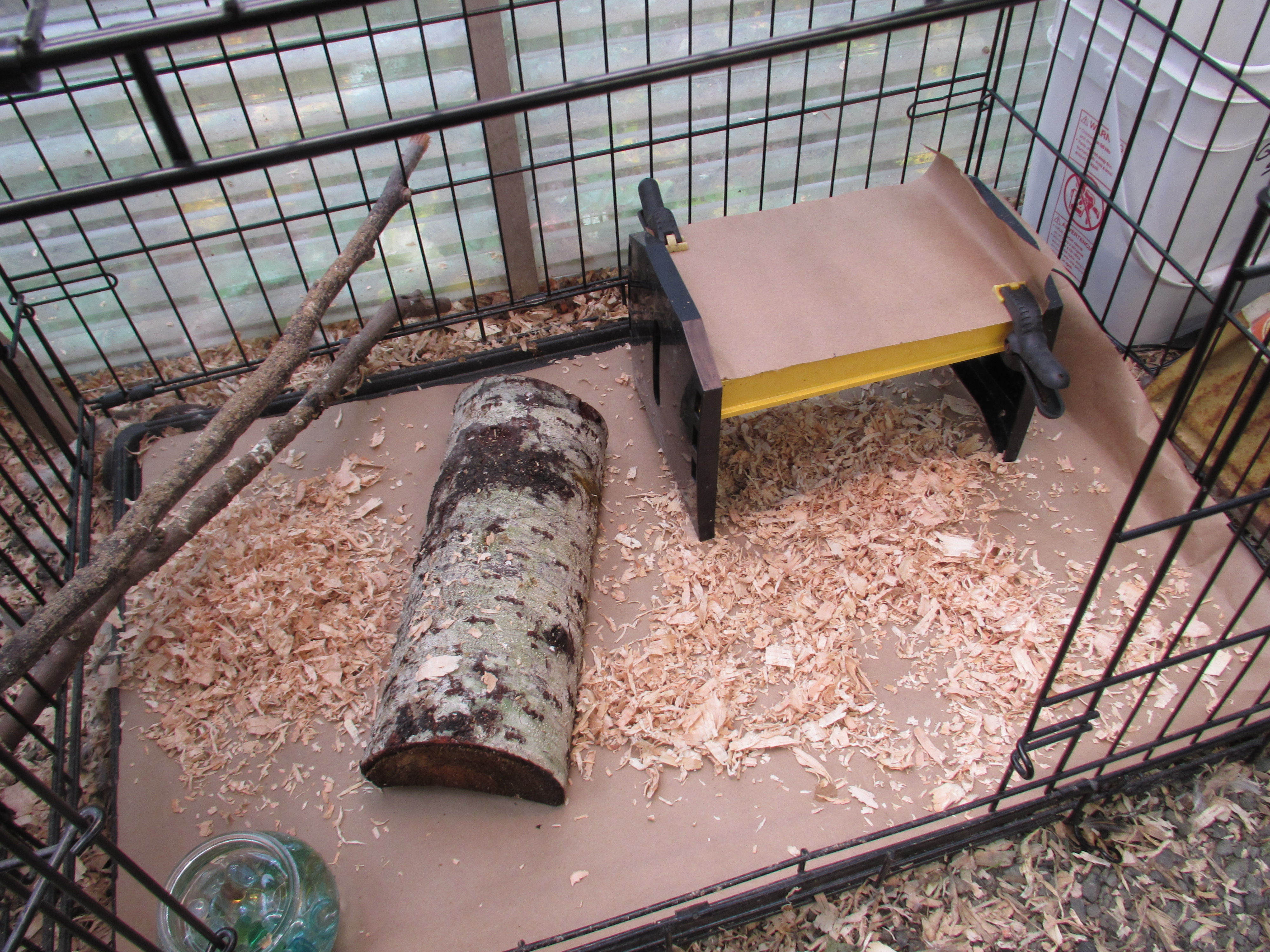my step up brooder ... 2 to 10 weeks