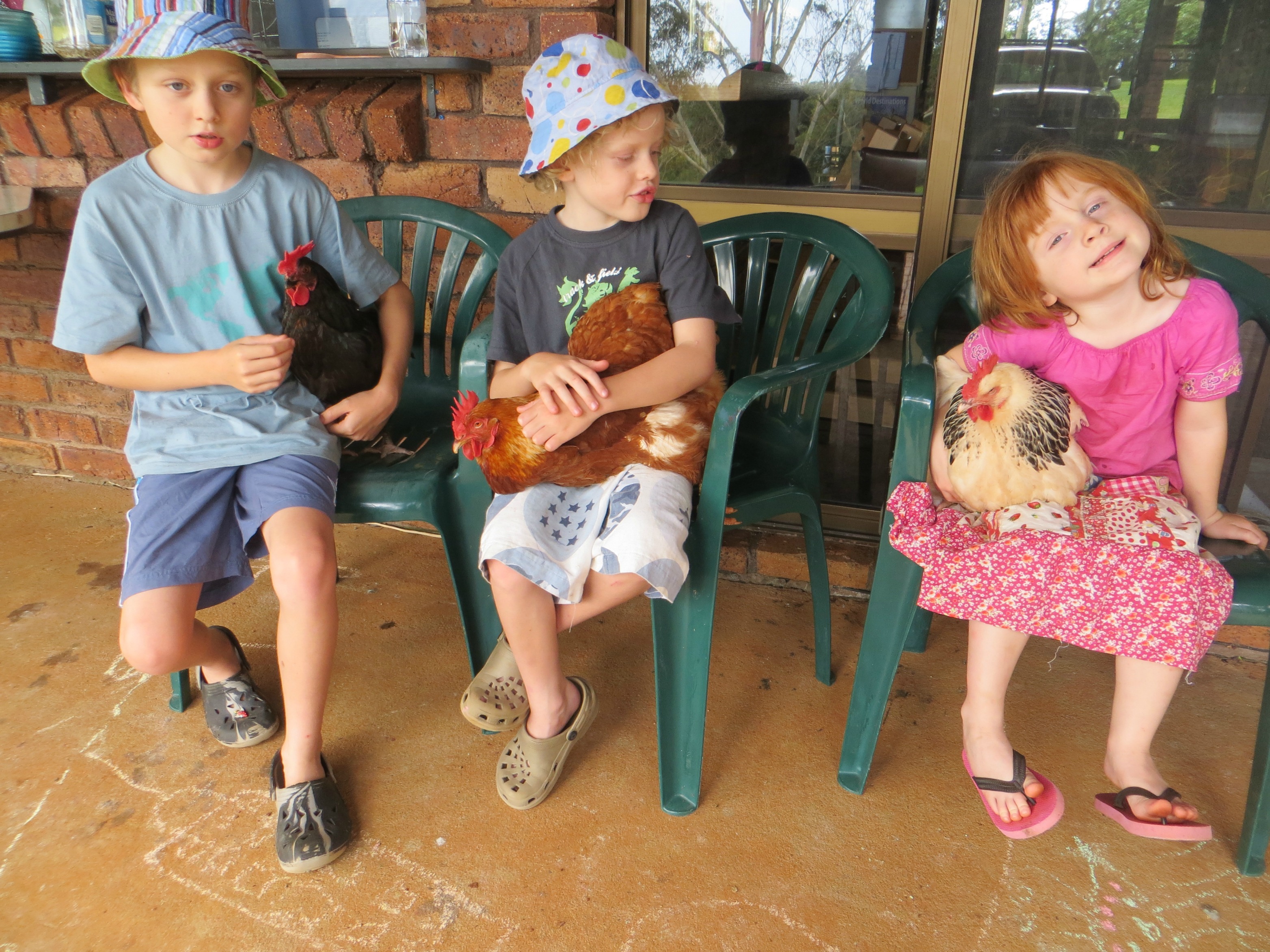 My three pets with their three pets.